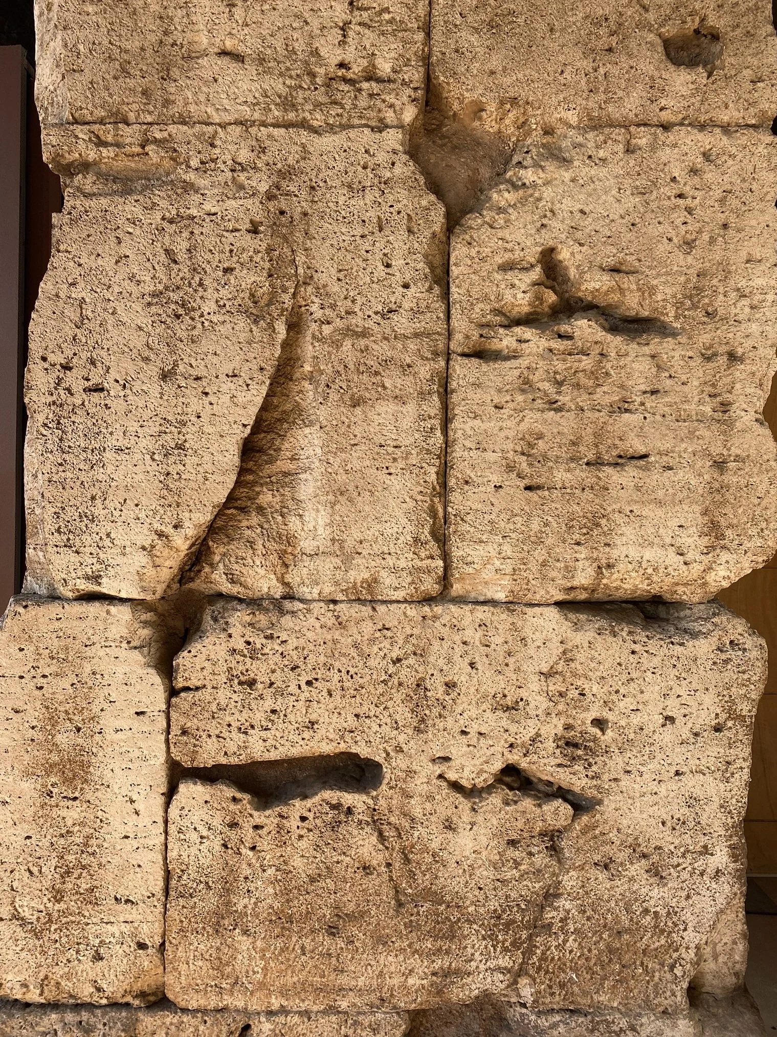 Roman Concrete Colosseum 