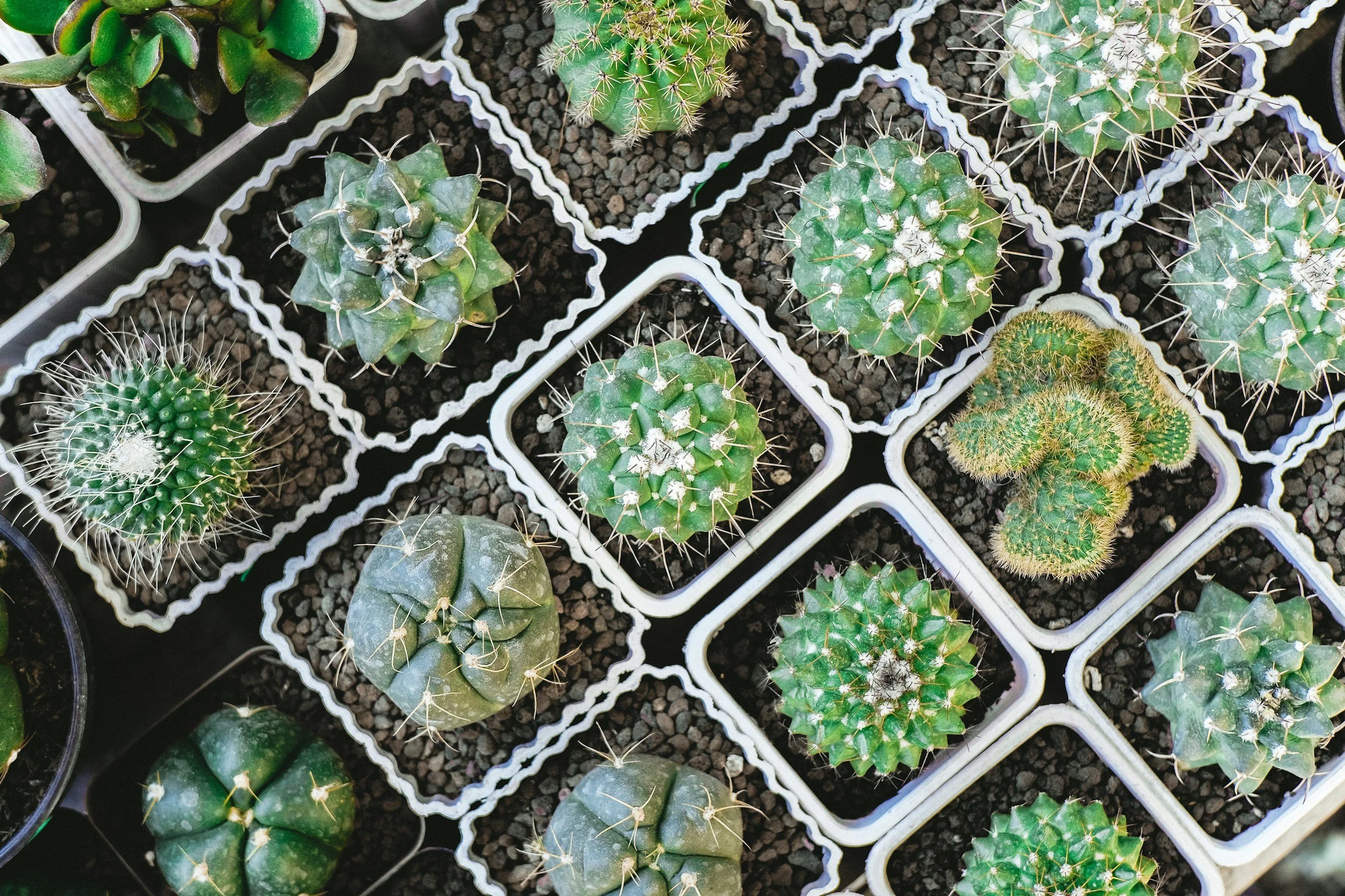 unsplash-image-YUIGZ33SB_0.jpg
