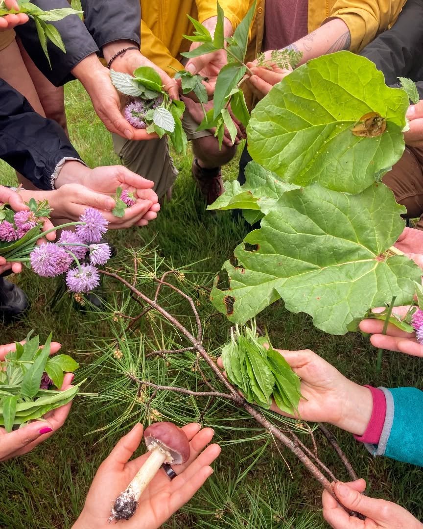 Yesterday we foraged with reverence&mdash;
many hands, one Earth.
Each leaf, flower, and fungus a teacher.
We don&rsquo;t take from nature.
We enter into conversation. 🌿

---

#WildForaging
#PlantWisdom
#ManyHandsOneEarth
#ThePermaculturePlace
#Teac