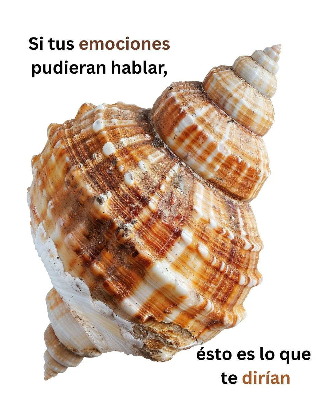 Si tus emociones pudieran hablar 🐚🐡🐠🐙 cu&aacute;l agregarias?