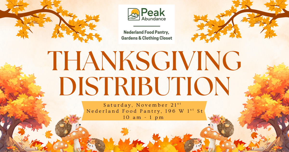 Thanksgiving Distribution
