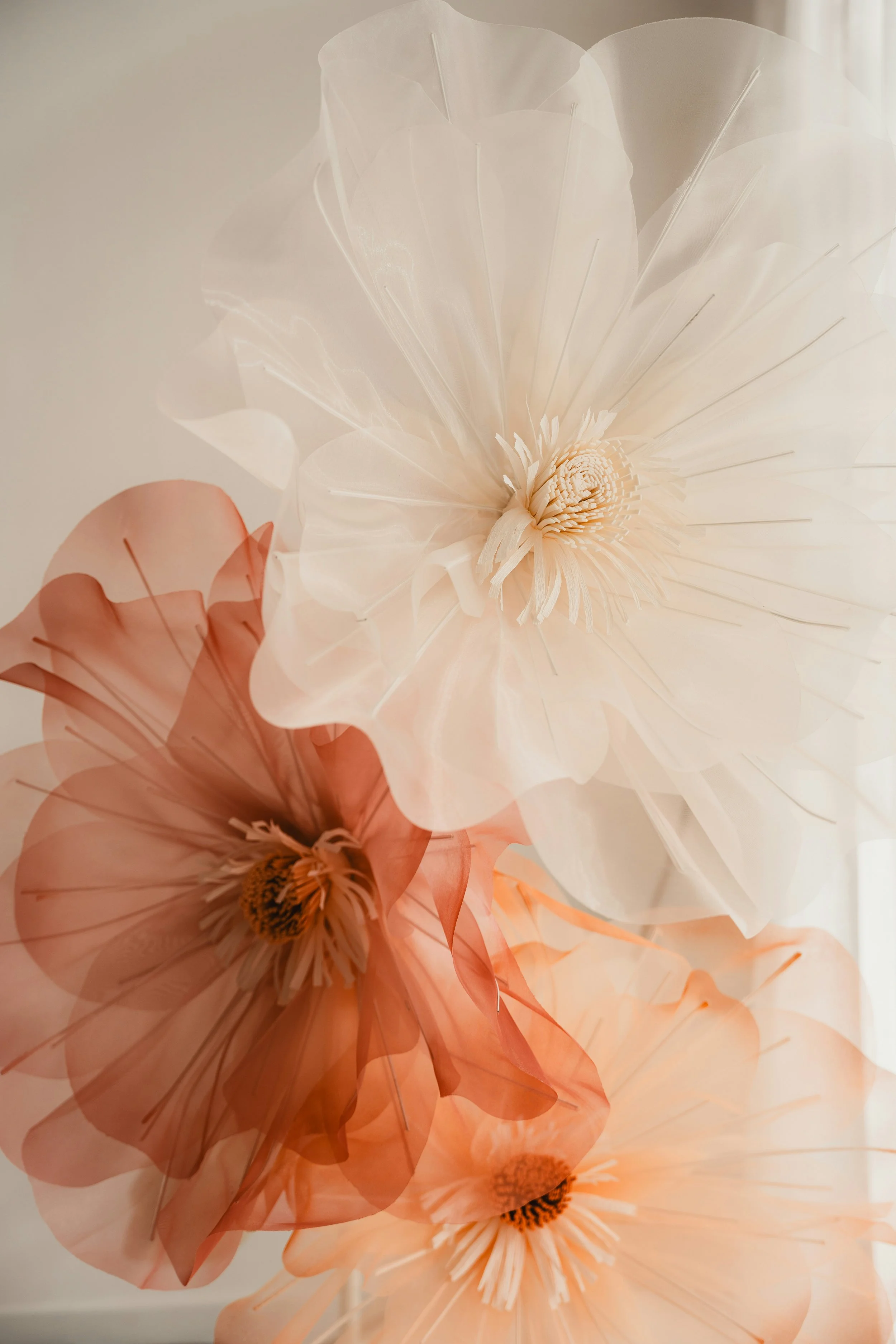 Close-up of large, delicate paper flowers in shades of cream, peach, and pink, with a focus on their intricate petals and centers.