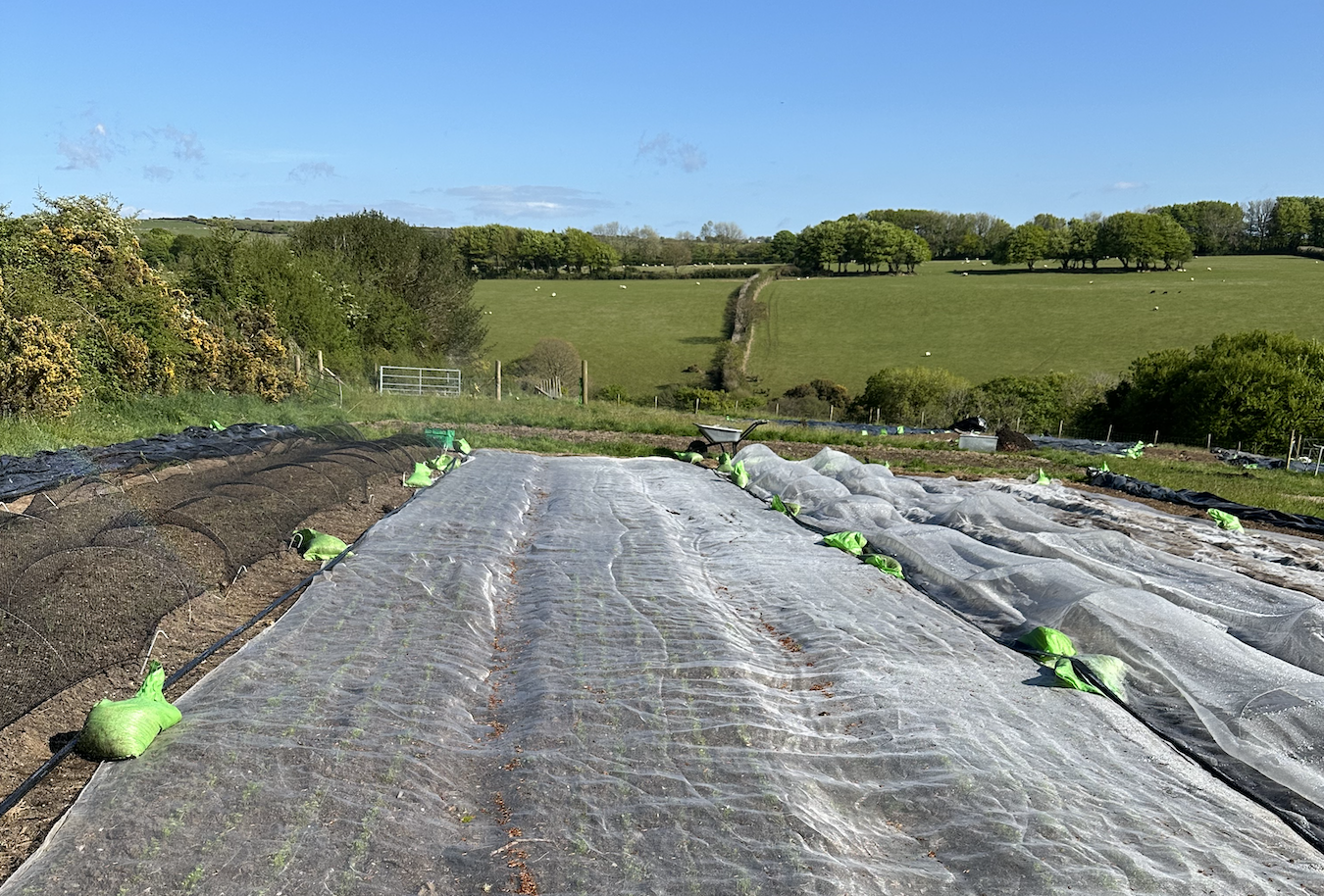 Come and get dirty with us this March! 