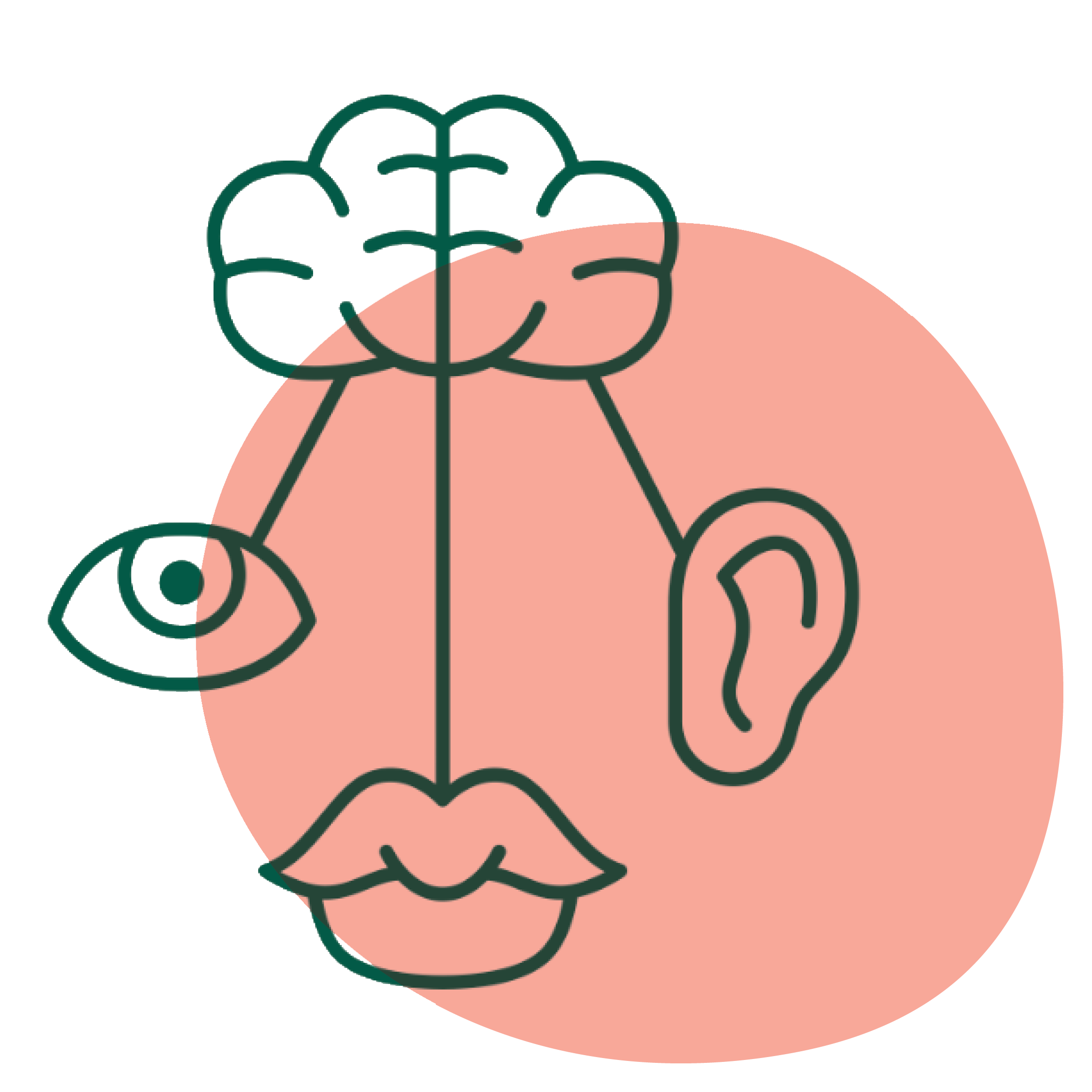 A Multi-Sensory approach