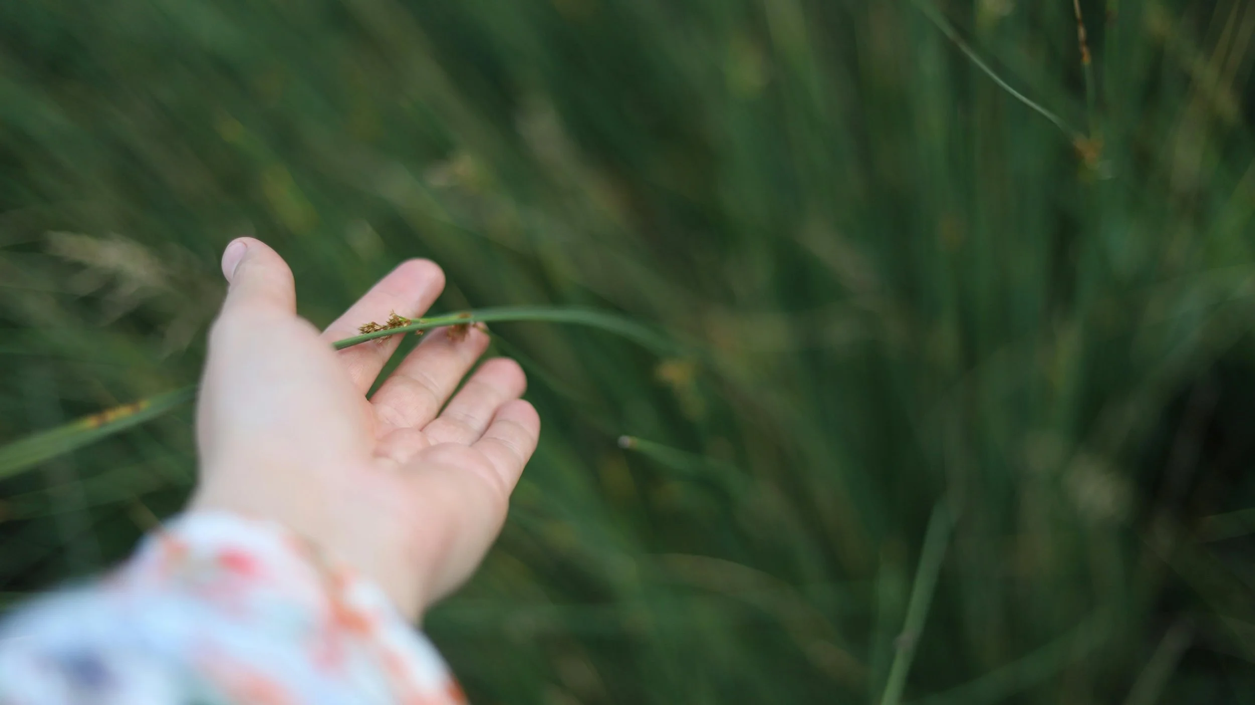 Literacy Beyond words, FAQ