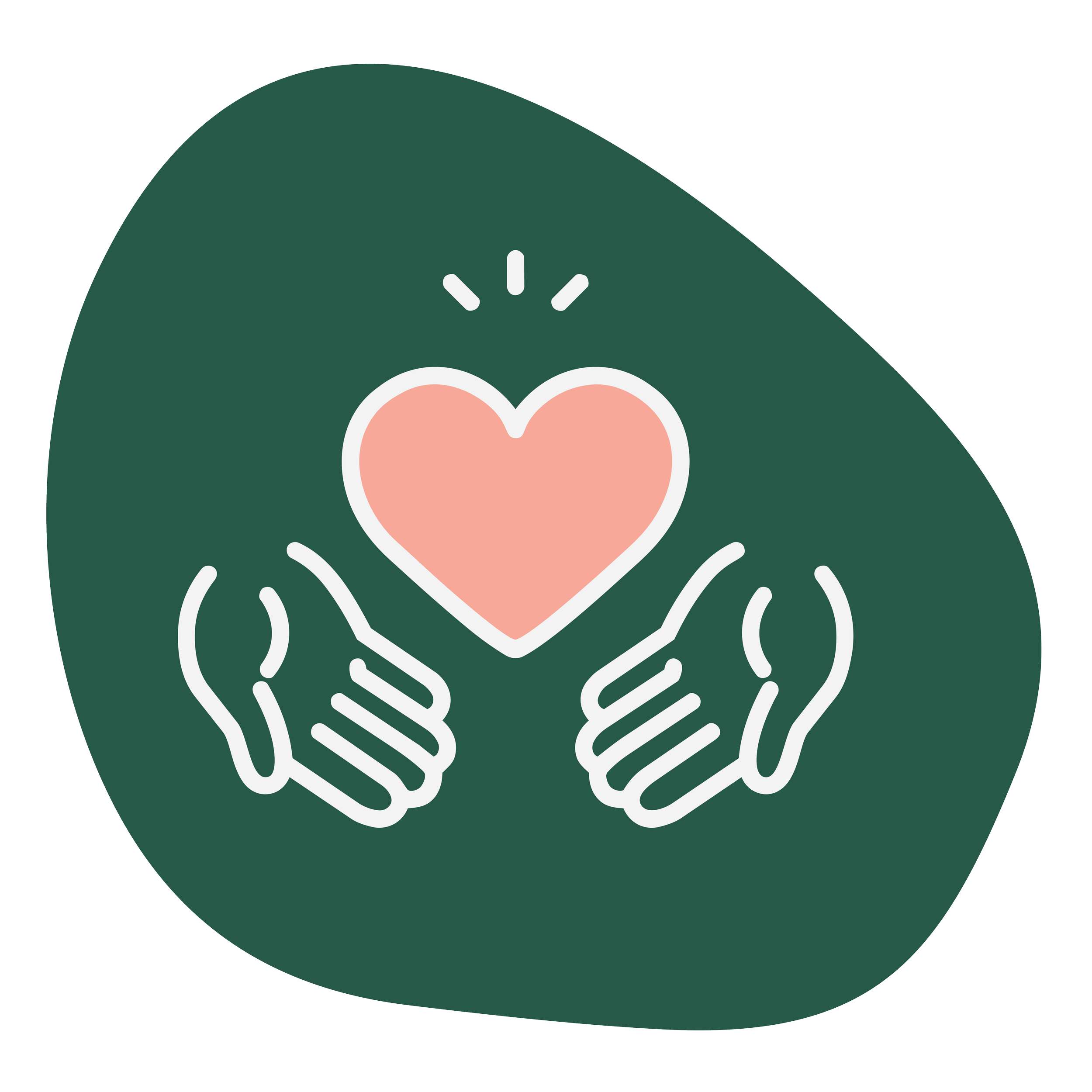 Kindness icon