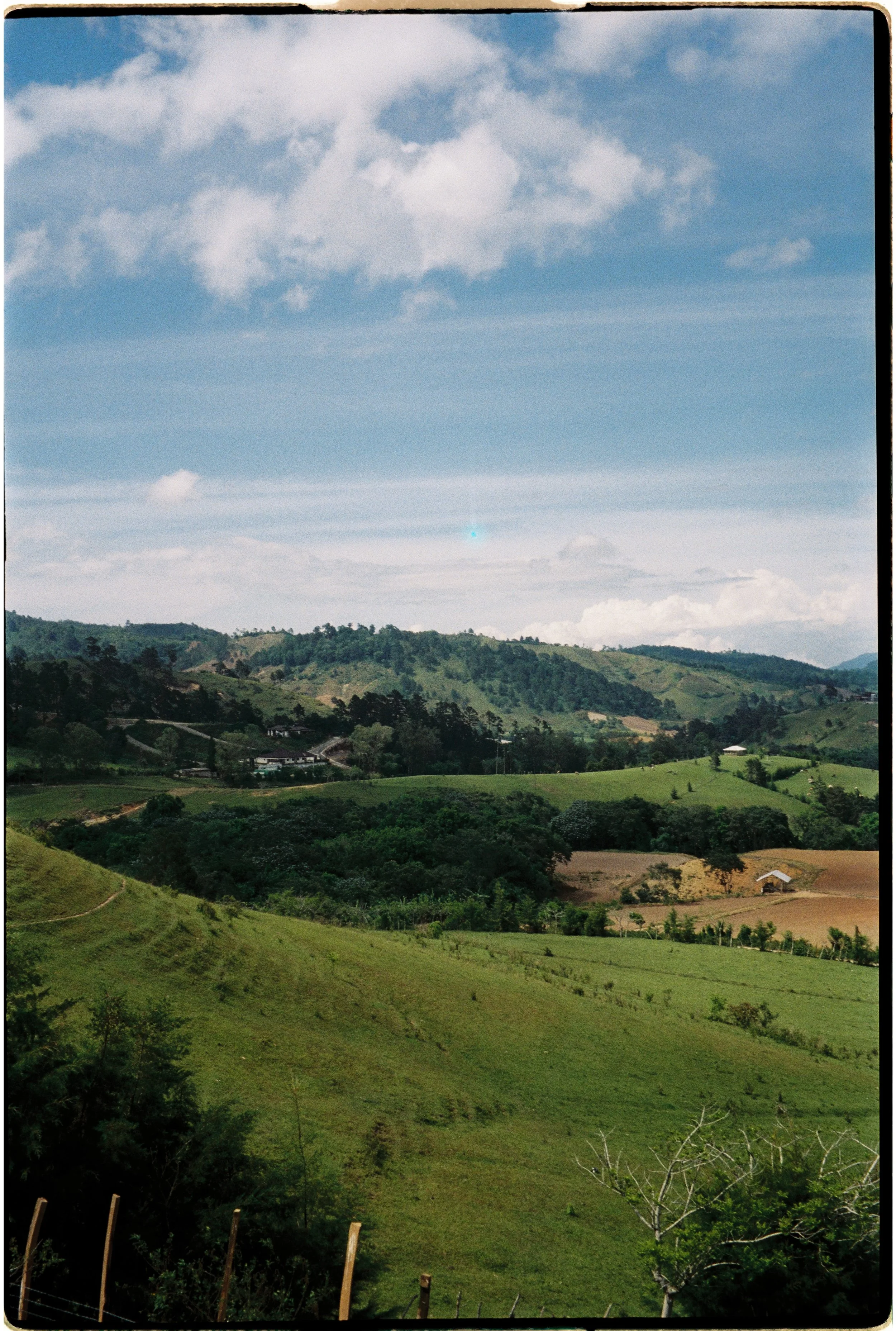 Brenda Marvas / @mar.vas