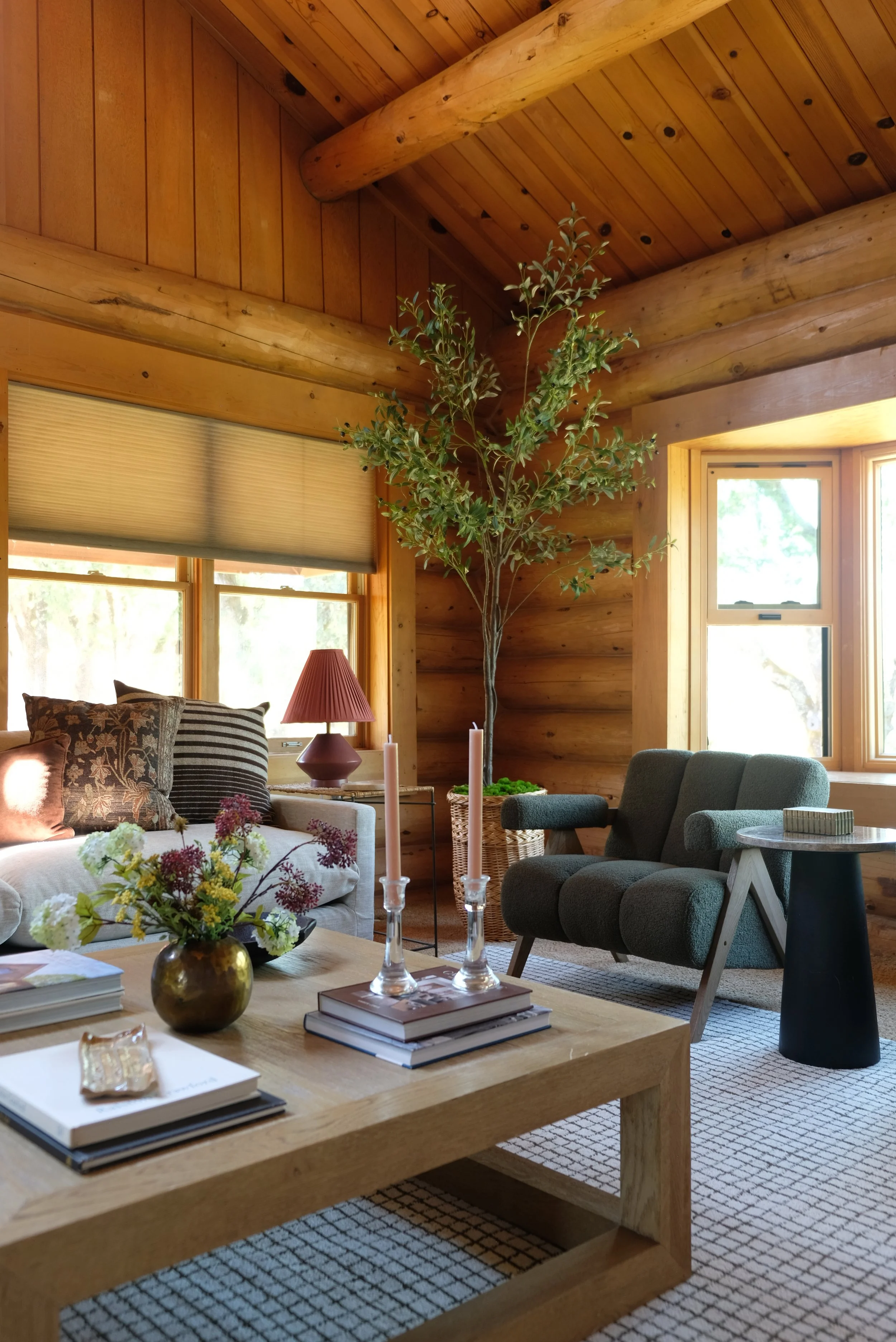 Petrified Forest Road - Staging