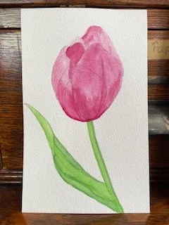 Tulip Kim S Joy.jpeg