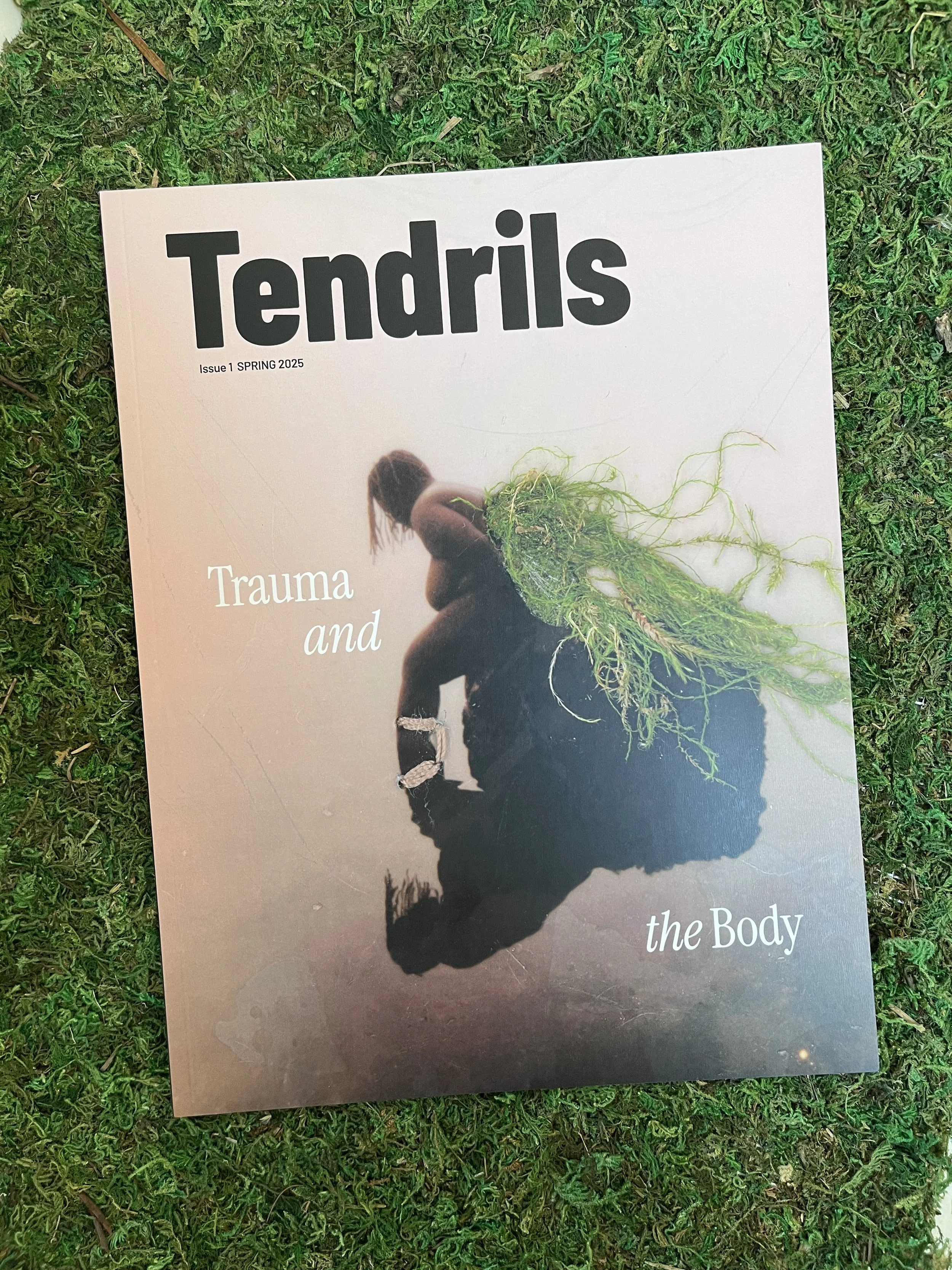 Trauma and the Body, Issue 1