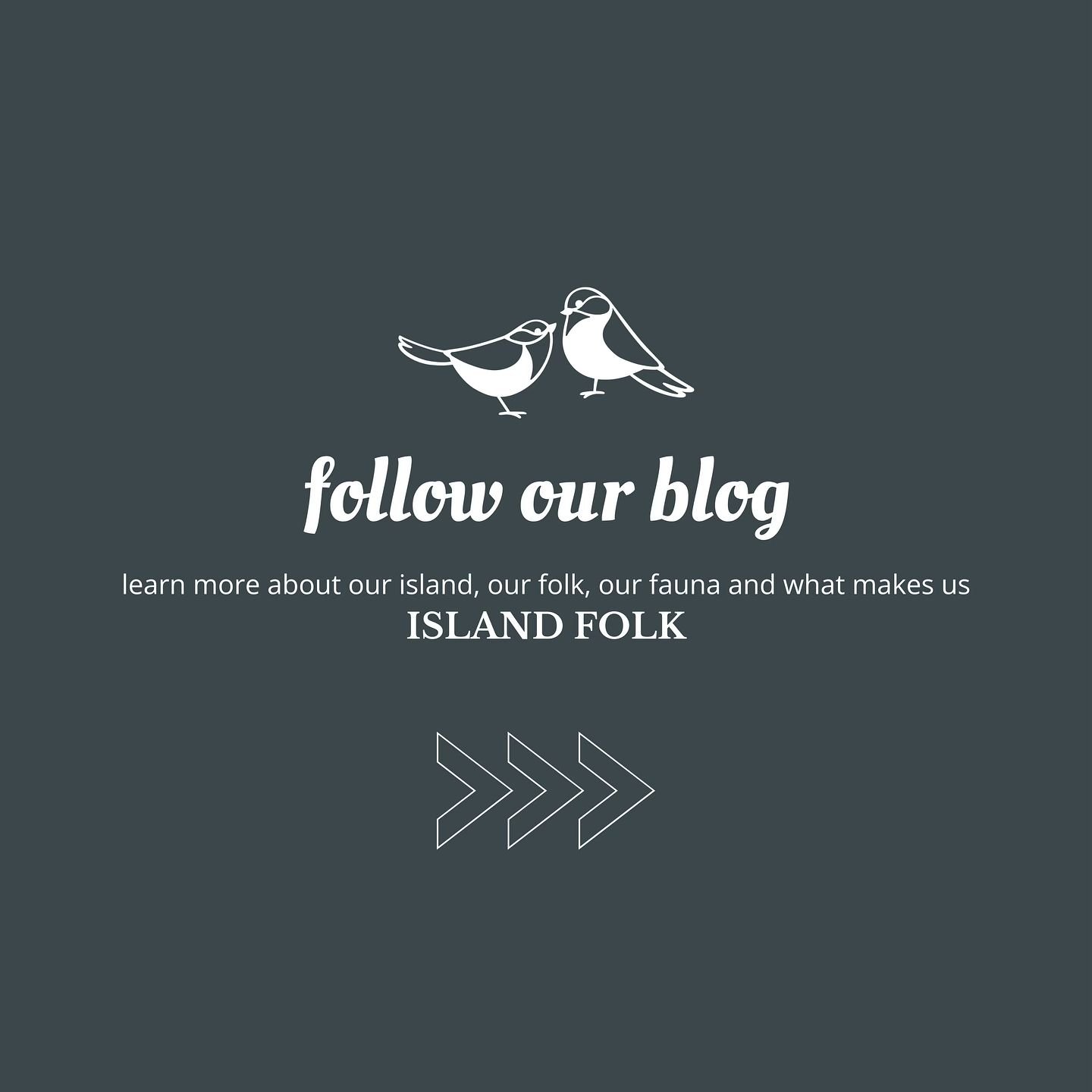 We have a fun new blog in the works: Island Folk. Learn more about our island&rsquo;s flora and fauna, our favourite trails and beaches, restaurants, shops and of course the folk that make this island so special. Link in bio
