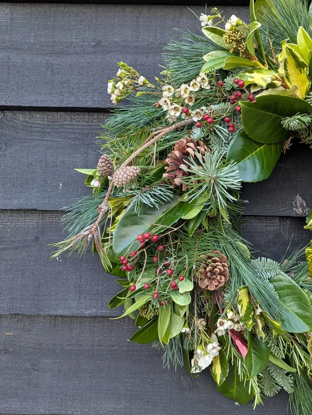 Pre book your Christmas wreath on our website now 🌲 

#haslemereflorist 
#haslemerechristmas
#surreywreaths