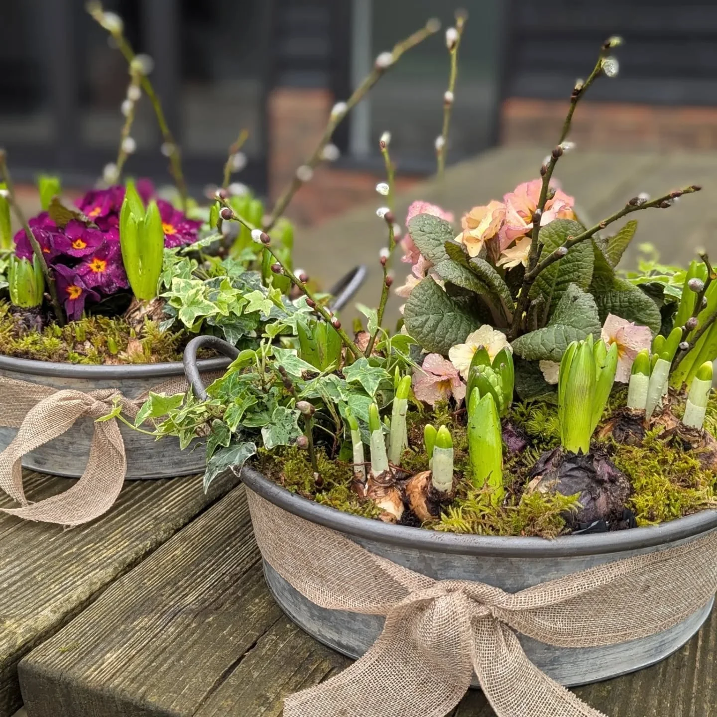 Planted baskets back on the website in time for Mother's Day next week 🌷www.bunchlane.com🌷

DM or email (becki@bunchlane.com) to order too!

Happy Mother's Day 💐

#haslemereflorist
#mothersdaygifts
