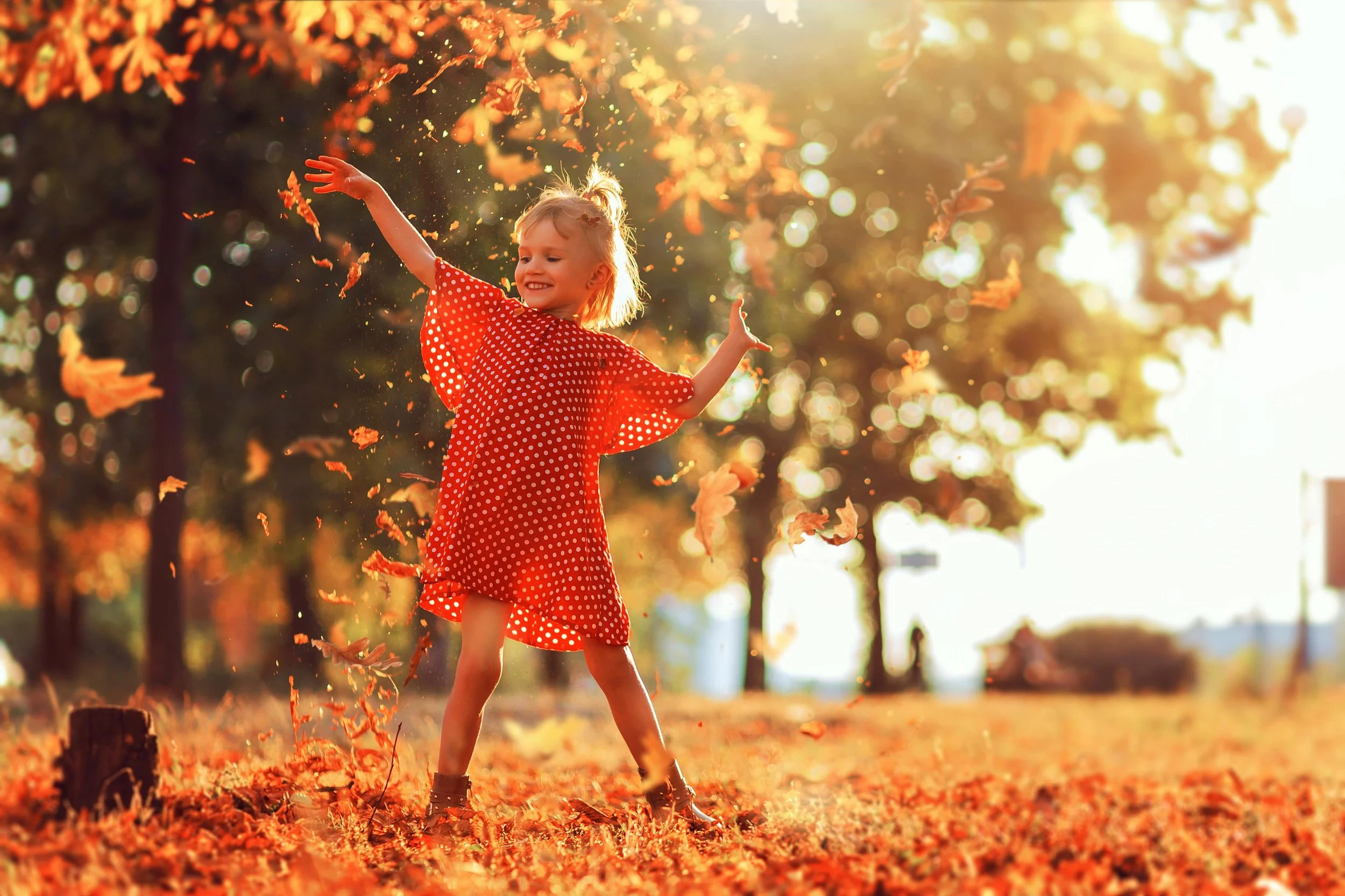 AdobeStock_289746410-min.jpeg