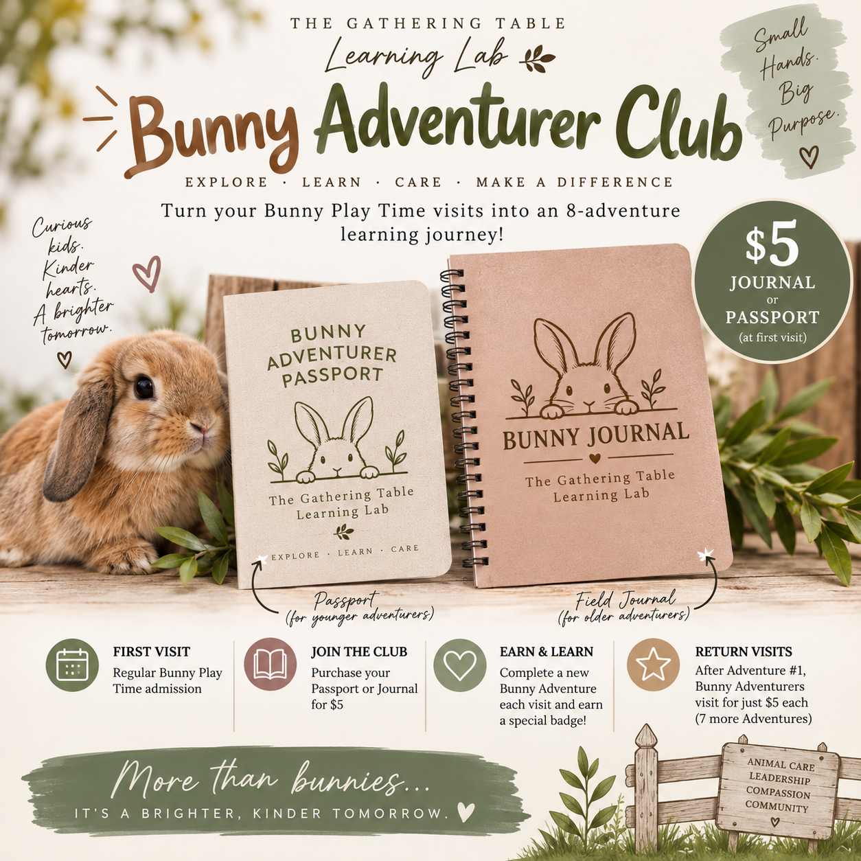 Bunny Adventurer Club