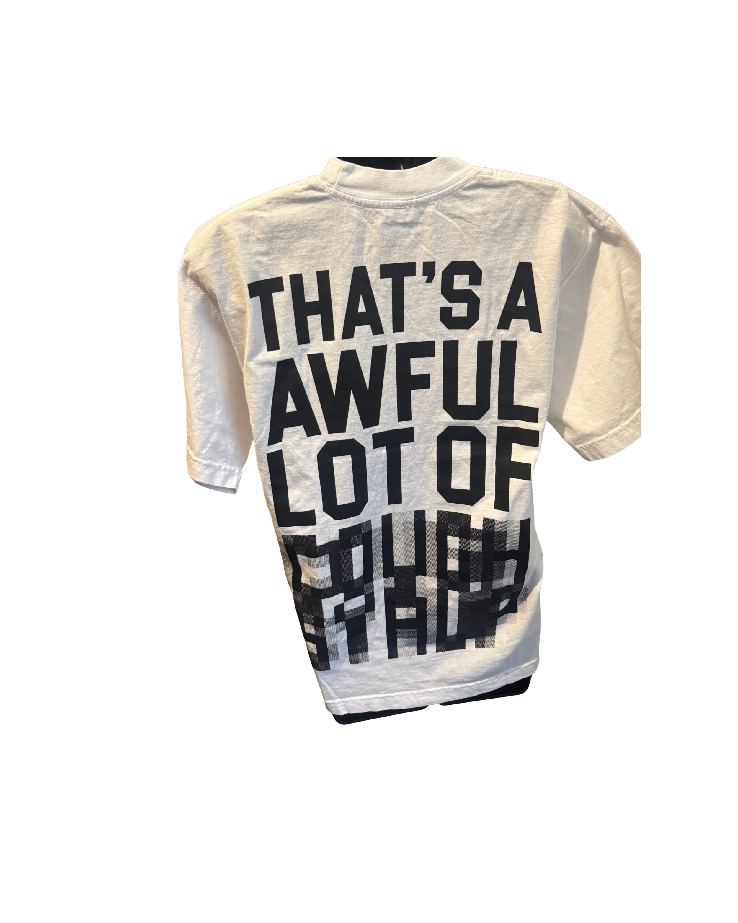 ALOCS blurred tee small.png