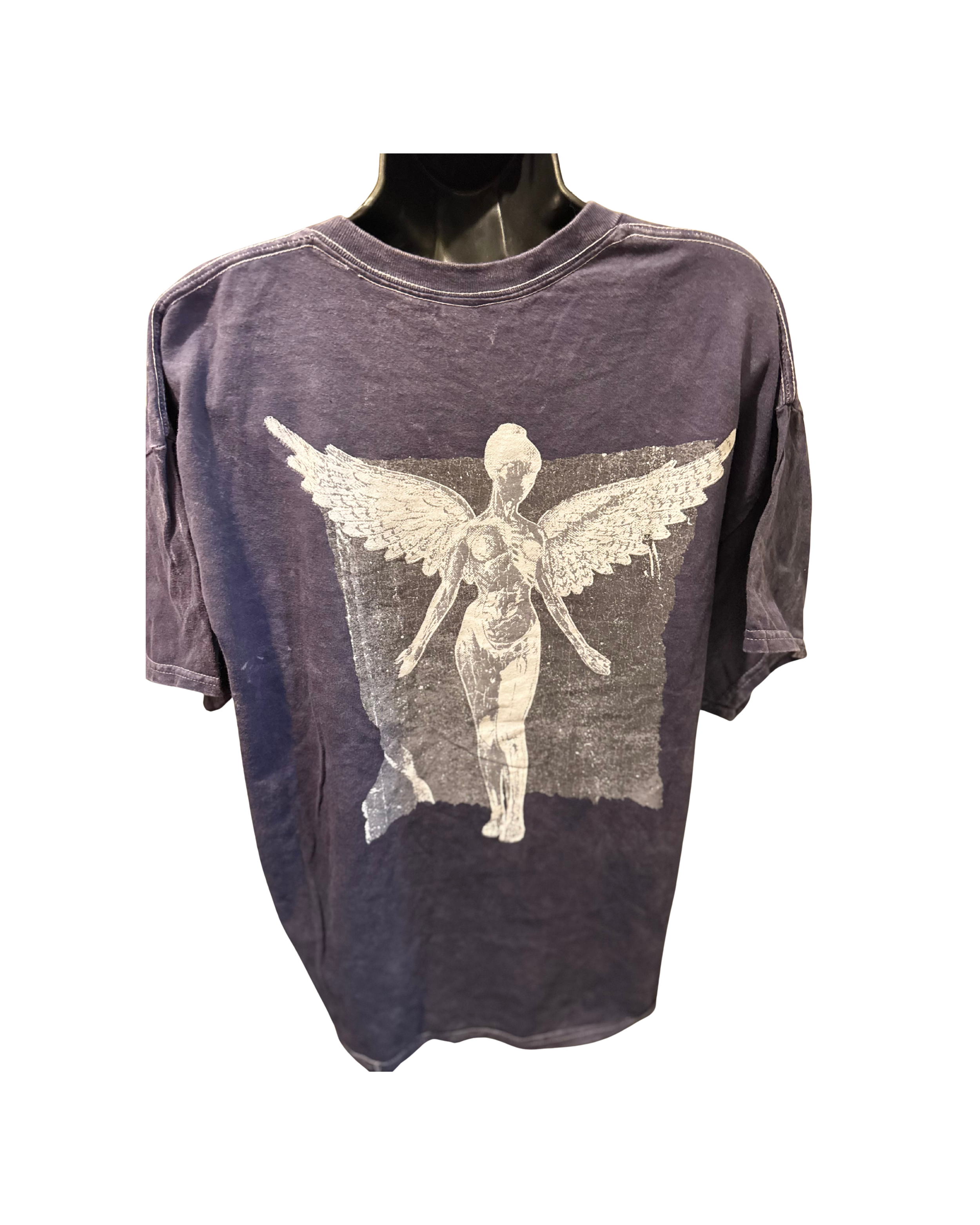 Nirvana Blue Angel XL (1).png