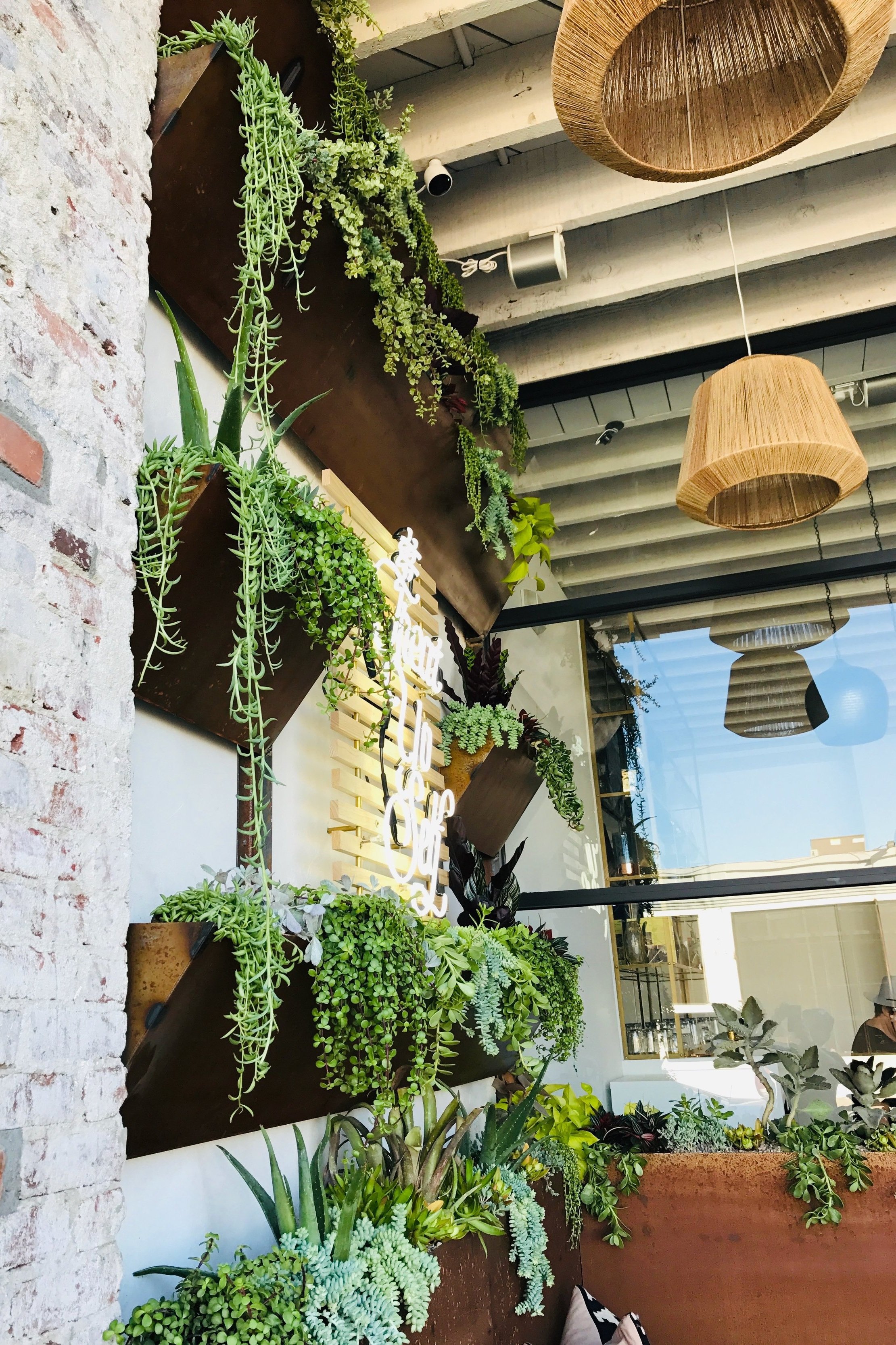 VIV+wall+planter.jpg