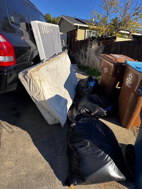 How Fast Can Junk Removal Be Scheduled—Same Day or Next Day?