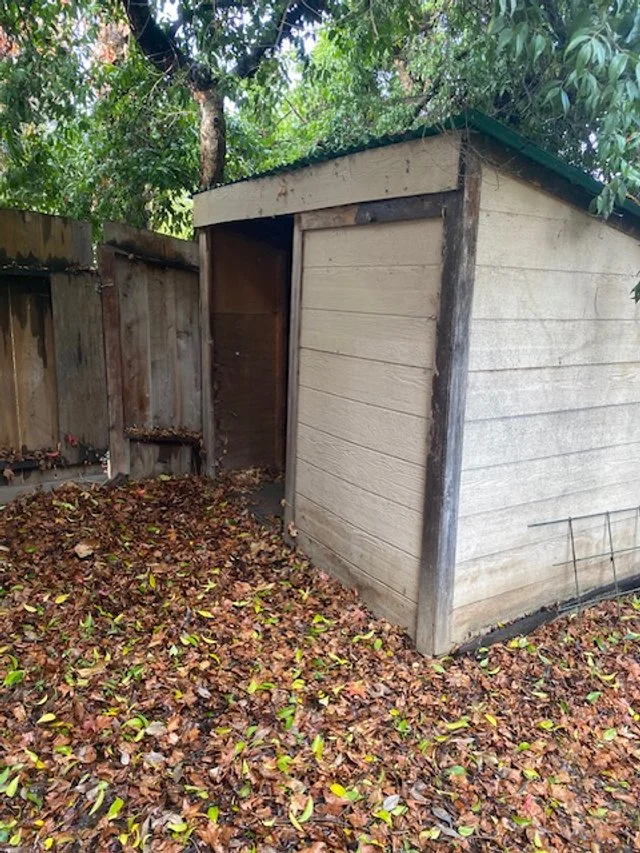 A small, weathered wooden shed with a sloped roof is situated next to a pile of fallen leaves, with a wooden fence and green trees in the background.