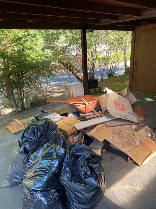 An outdoor area with trash and cardboard boxes on the ground, under a shelter with trees and a street in the background.