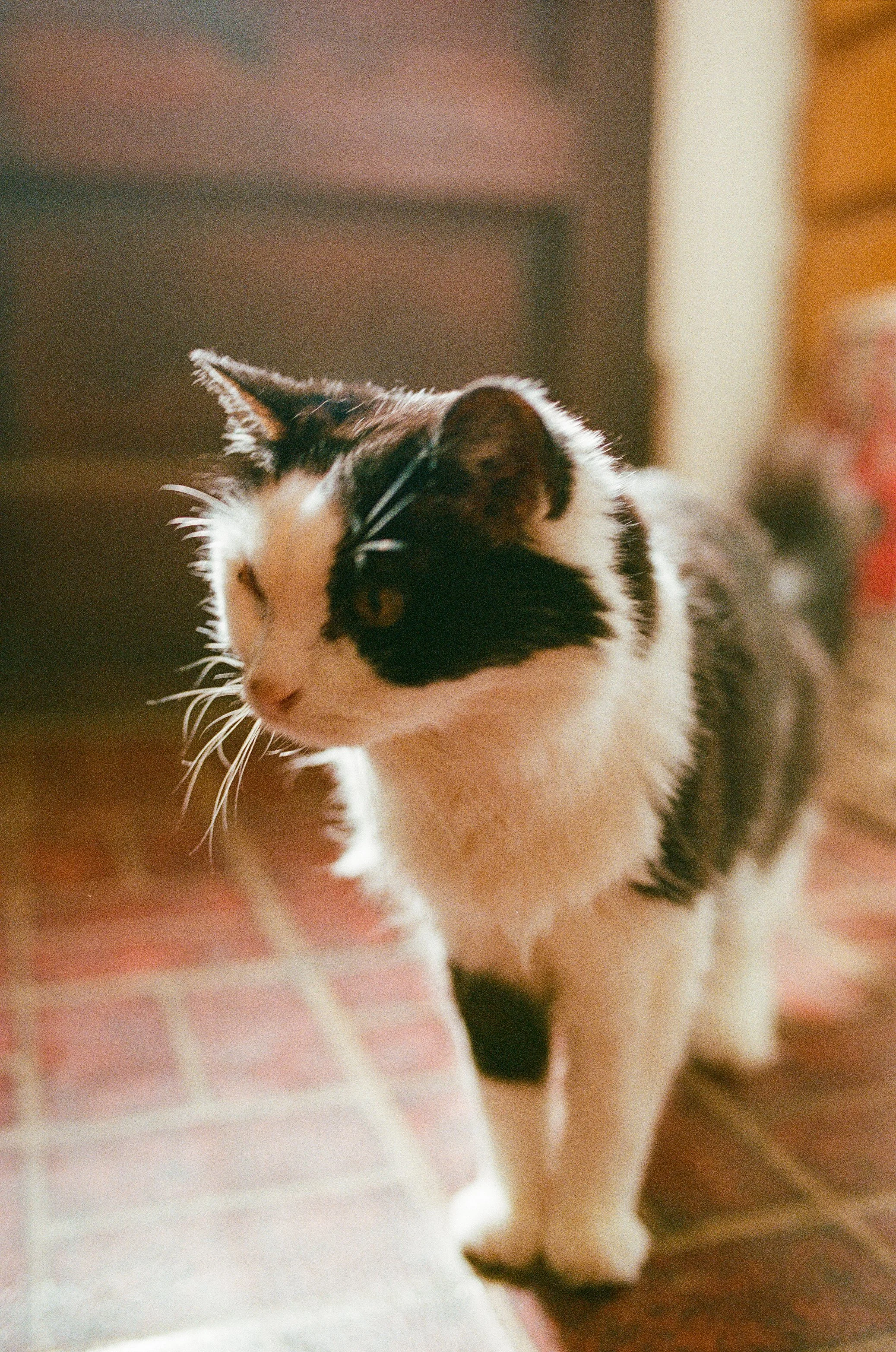 Maura & Macenzie-Portra400&800-05-16-26-35.jpg