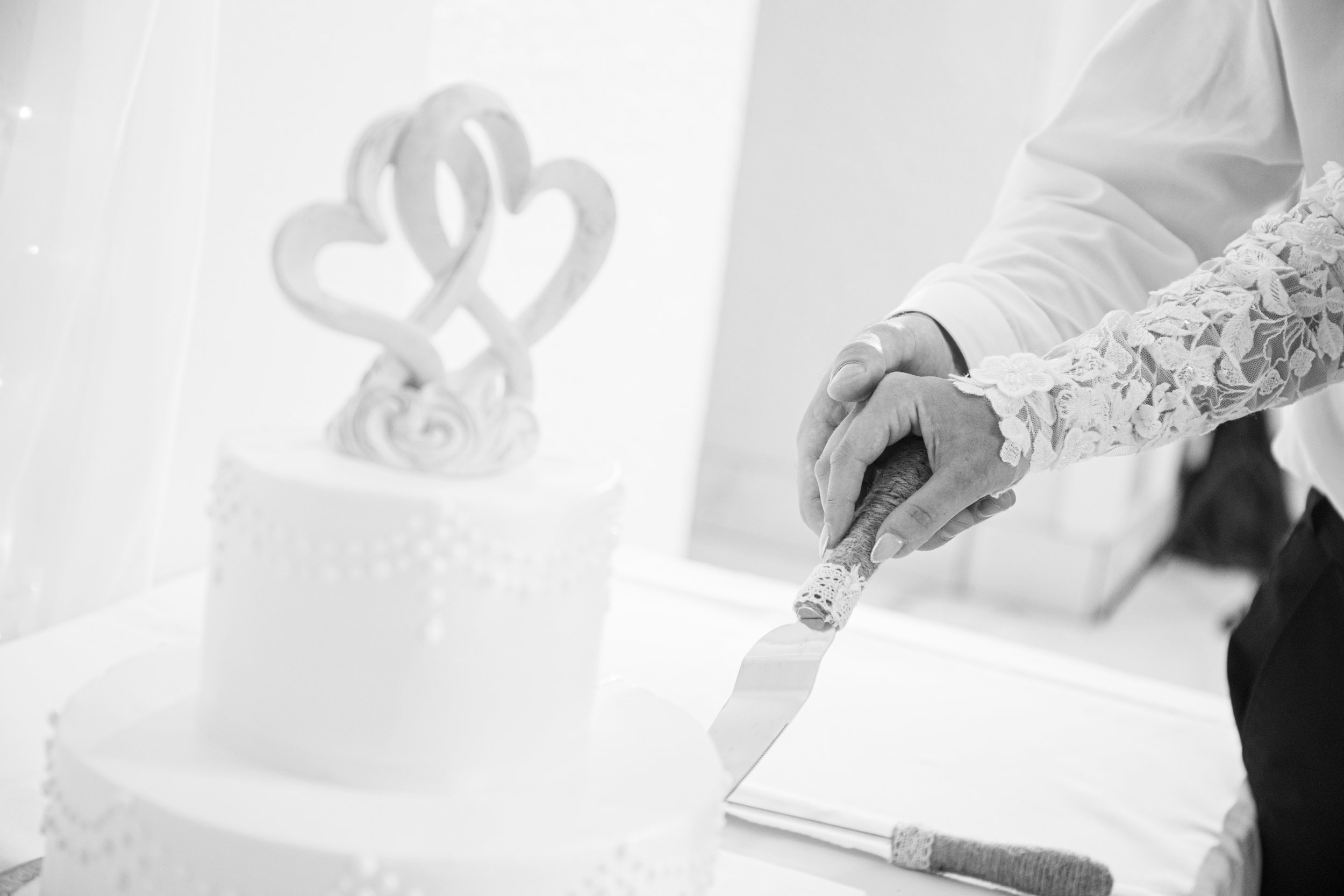 Lexi & William-10-04-24-542.jpg