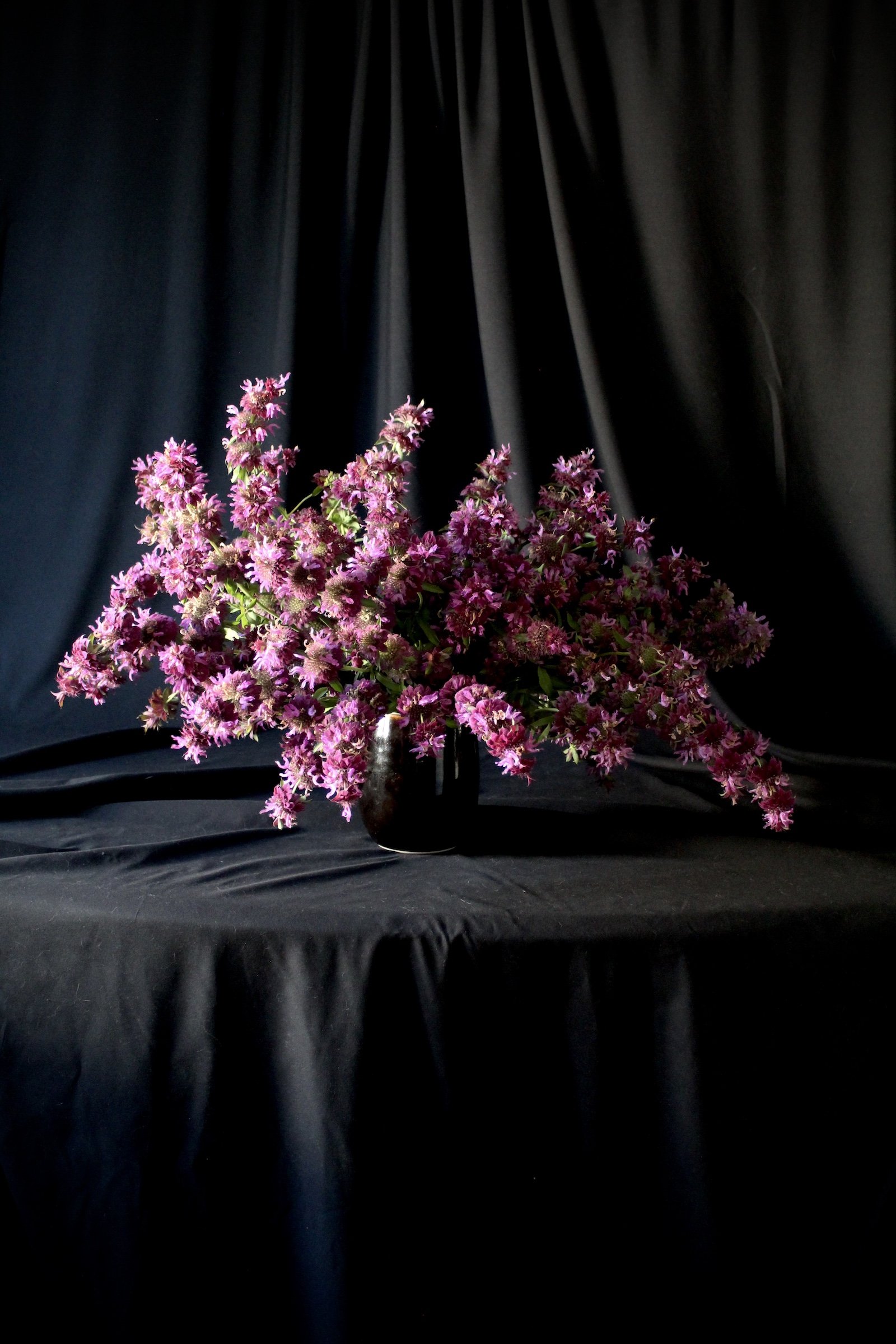 A summer mono-flower arrangement of Bee Balm "Bergamo".