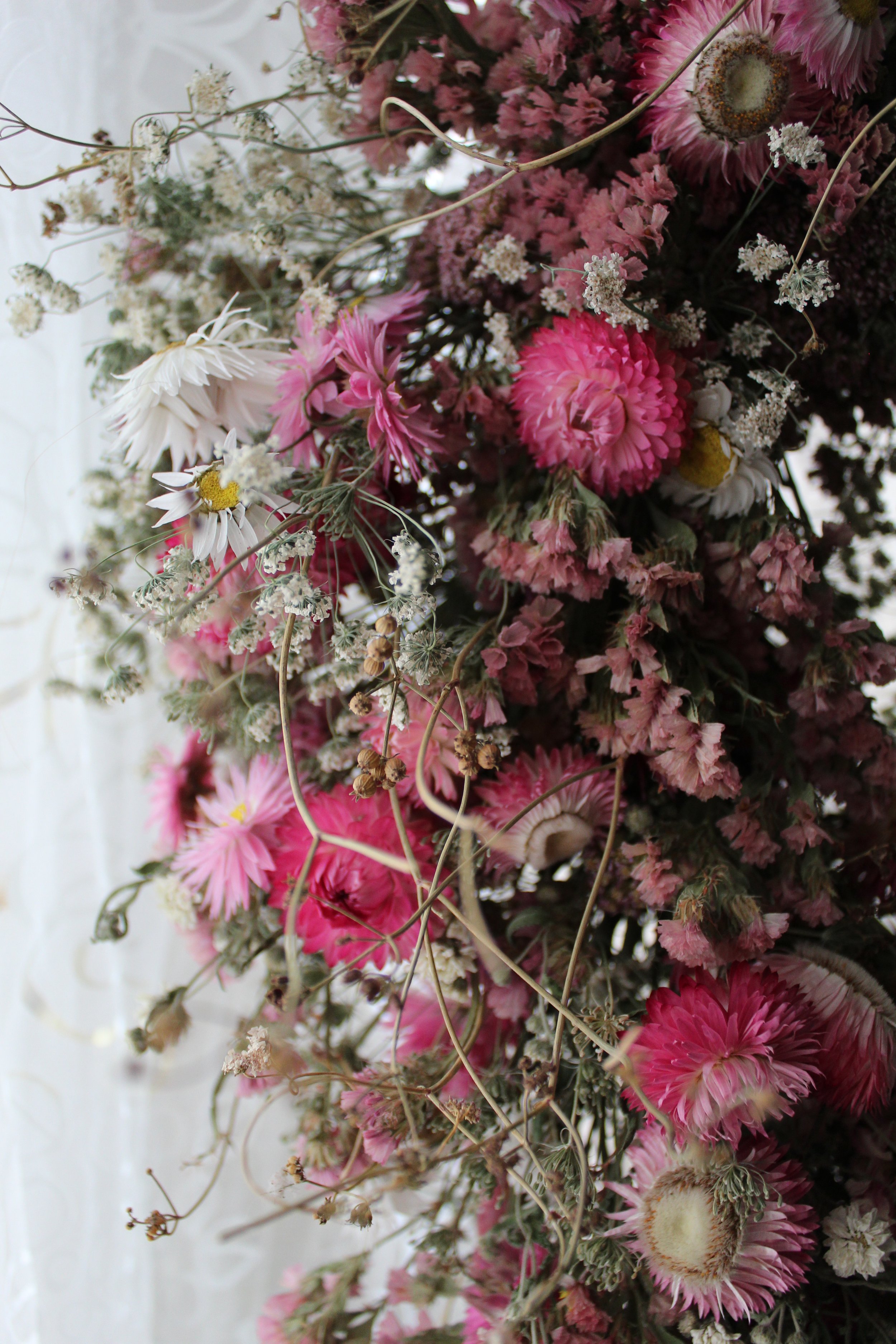 Close up of a February wreath featuring dried strawflower, laceflower, statice, and paper daisies.
