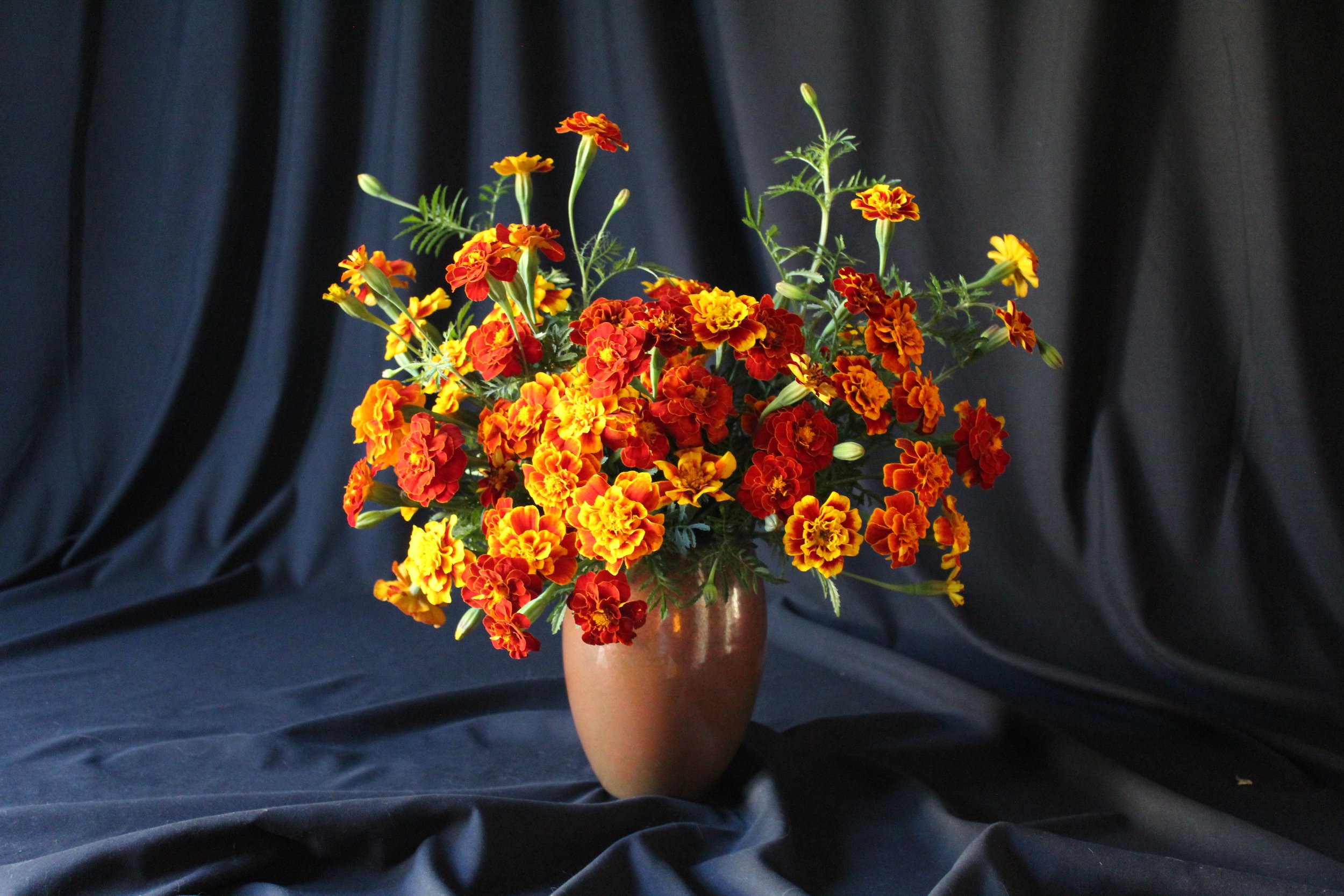 A summer mono-flower arrangement of French marigolds.