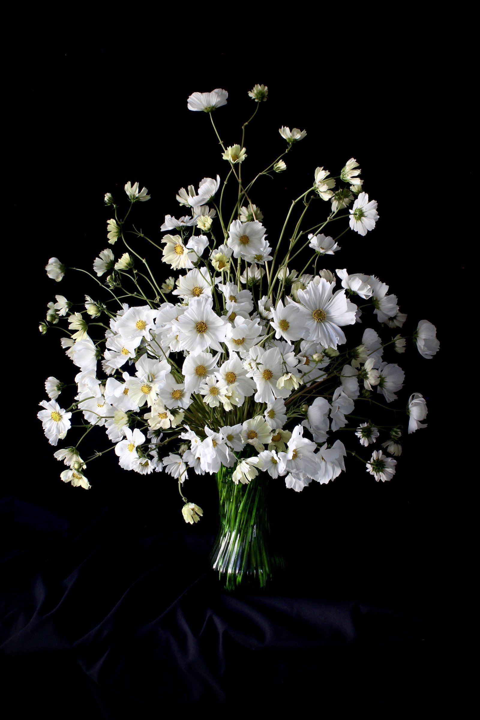 A late summer mono-flower arrangement of cosmos that plays with gesture and negative space.