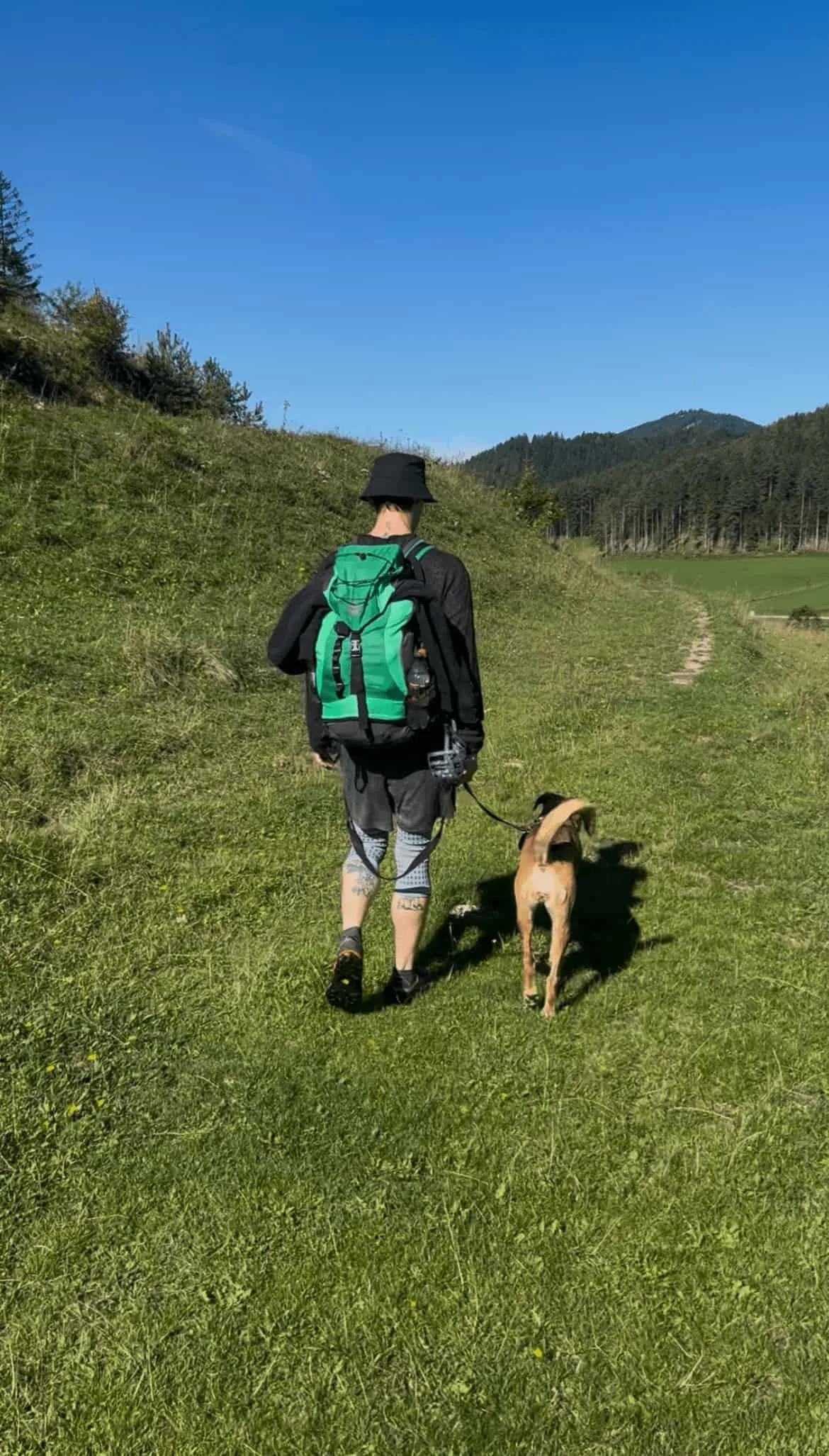 Wandern mit Hund: Von Wien nach Mariazell