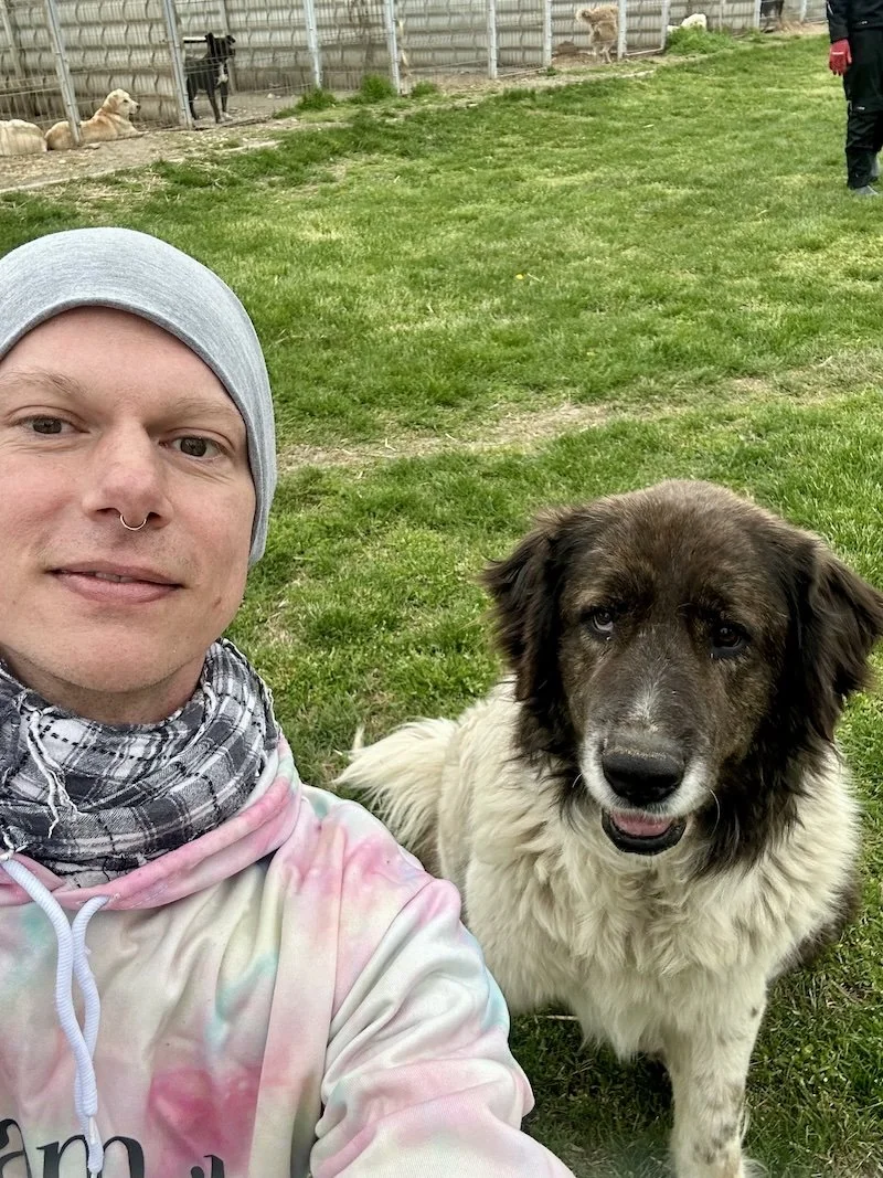 Wie läuft ein Helfereinsatz in Rumänien ab?