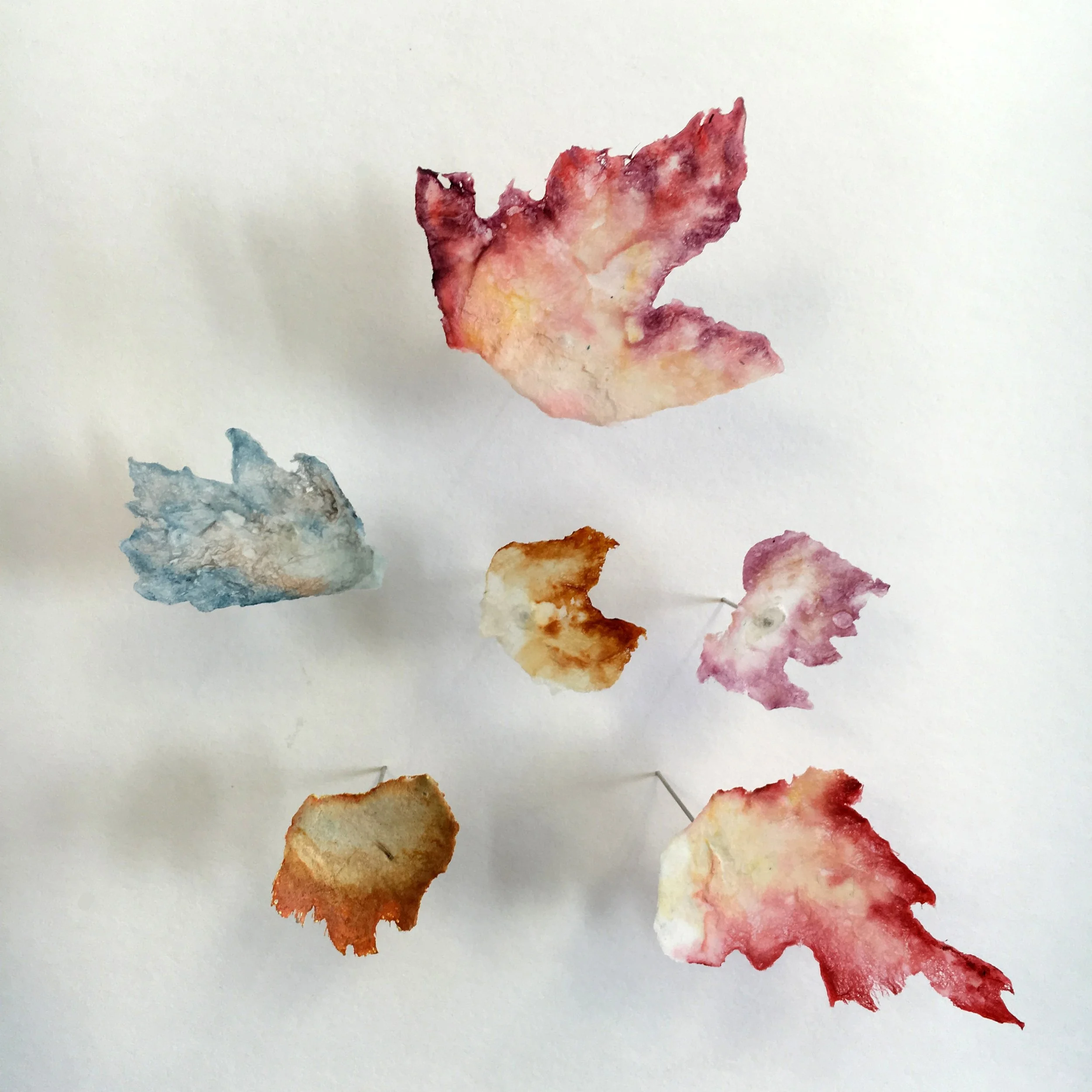 Leaves Close up_edited.jpg