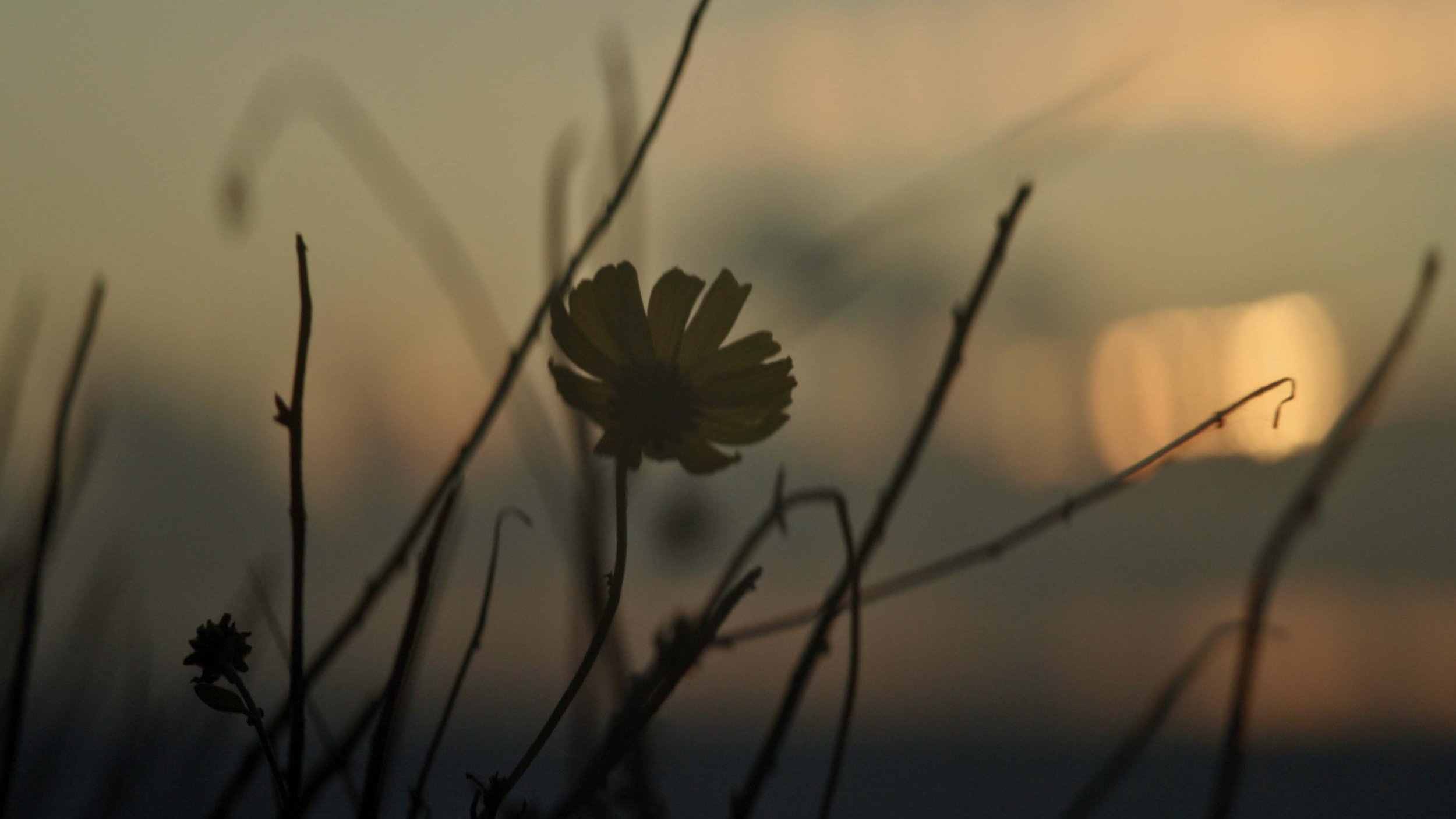 It’s Only Music, Baby - Screengrabs_Page_25.jpg