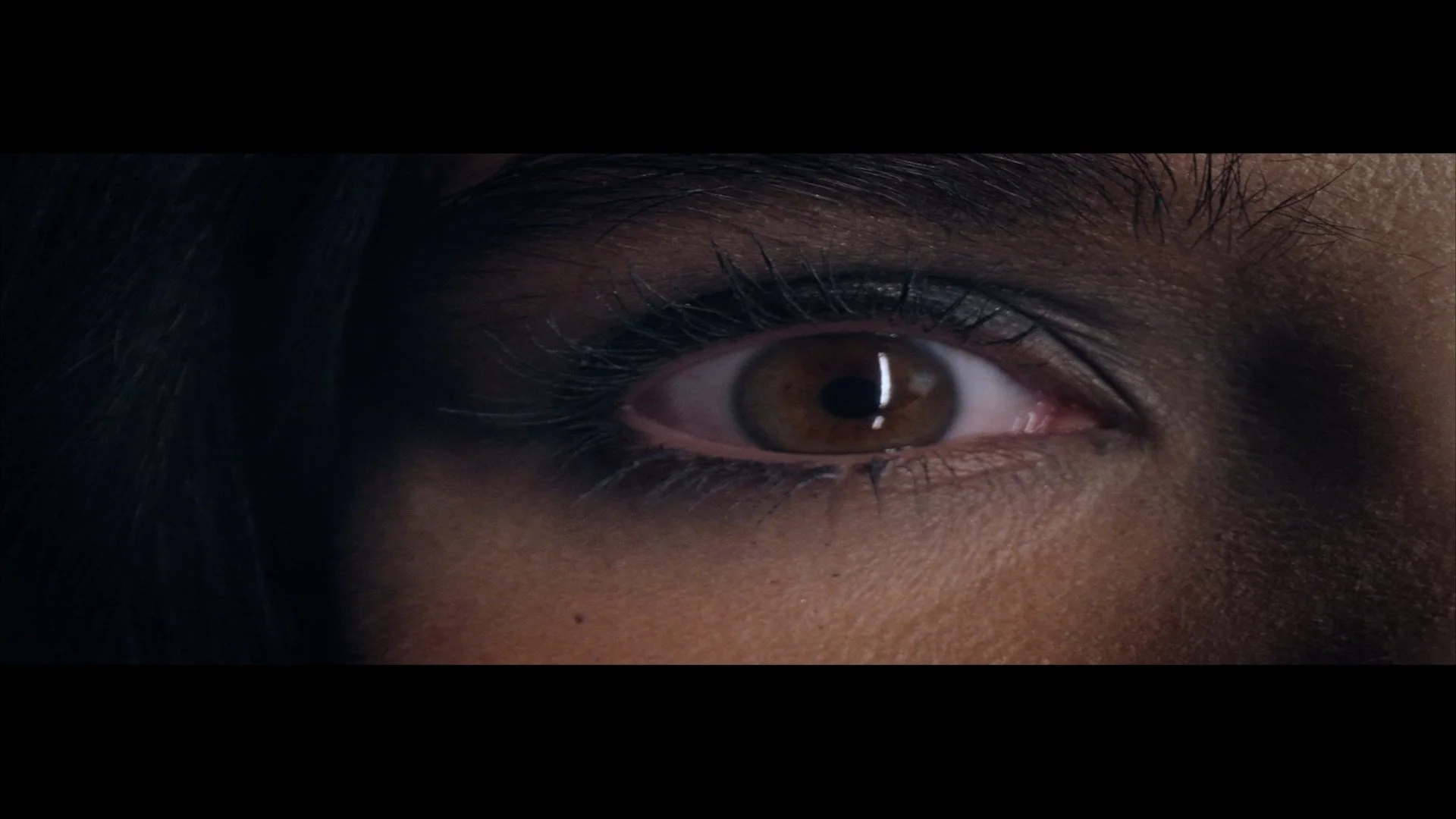 Punkture - Cannes - Short Film Category - 1080_50MBPS.mp4.01_12_56_13.Still013.jpg