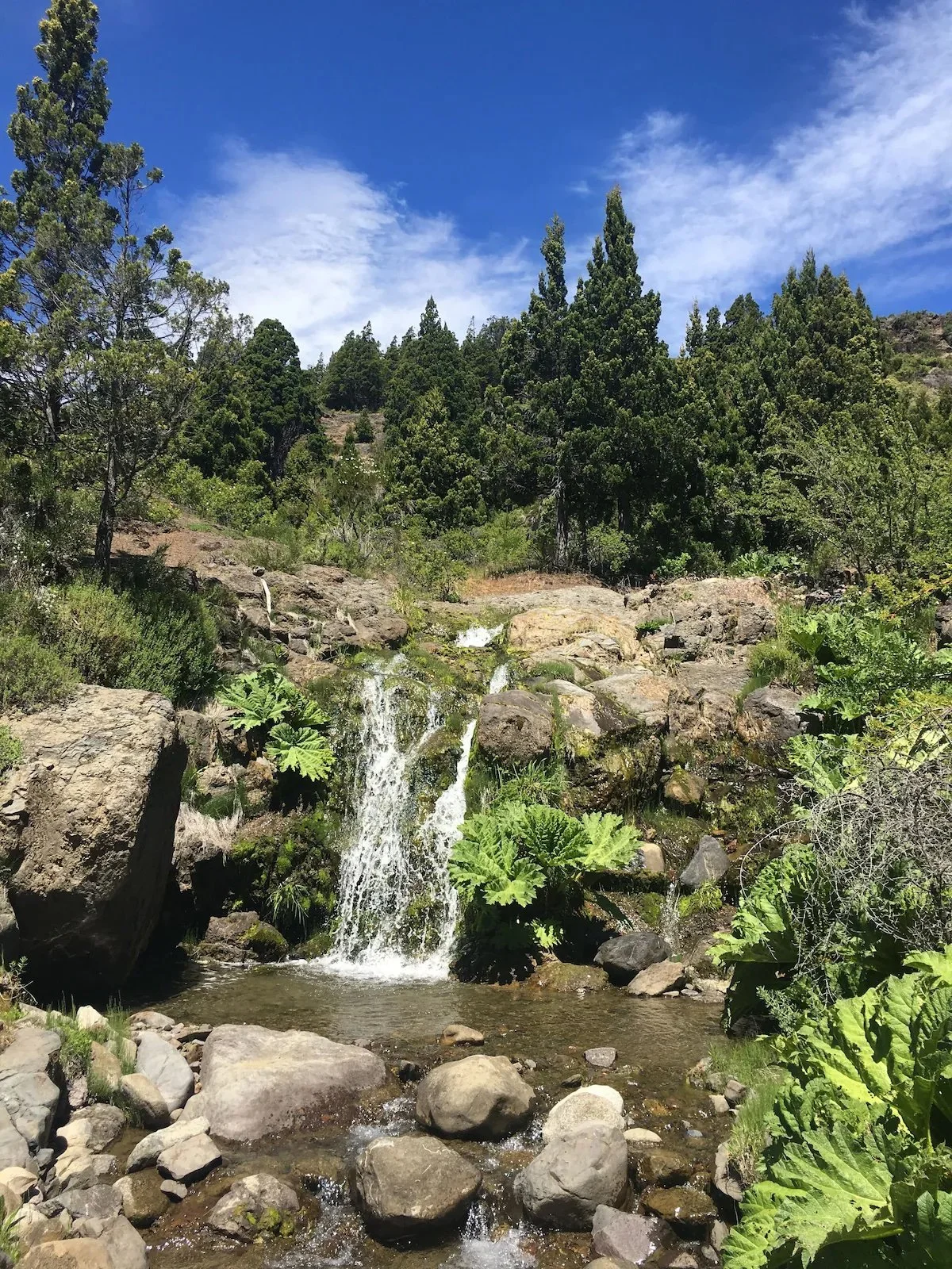 waterfall on prop.jpg