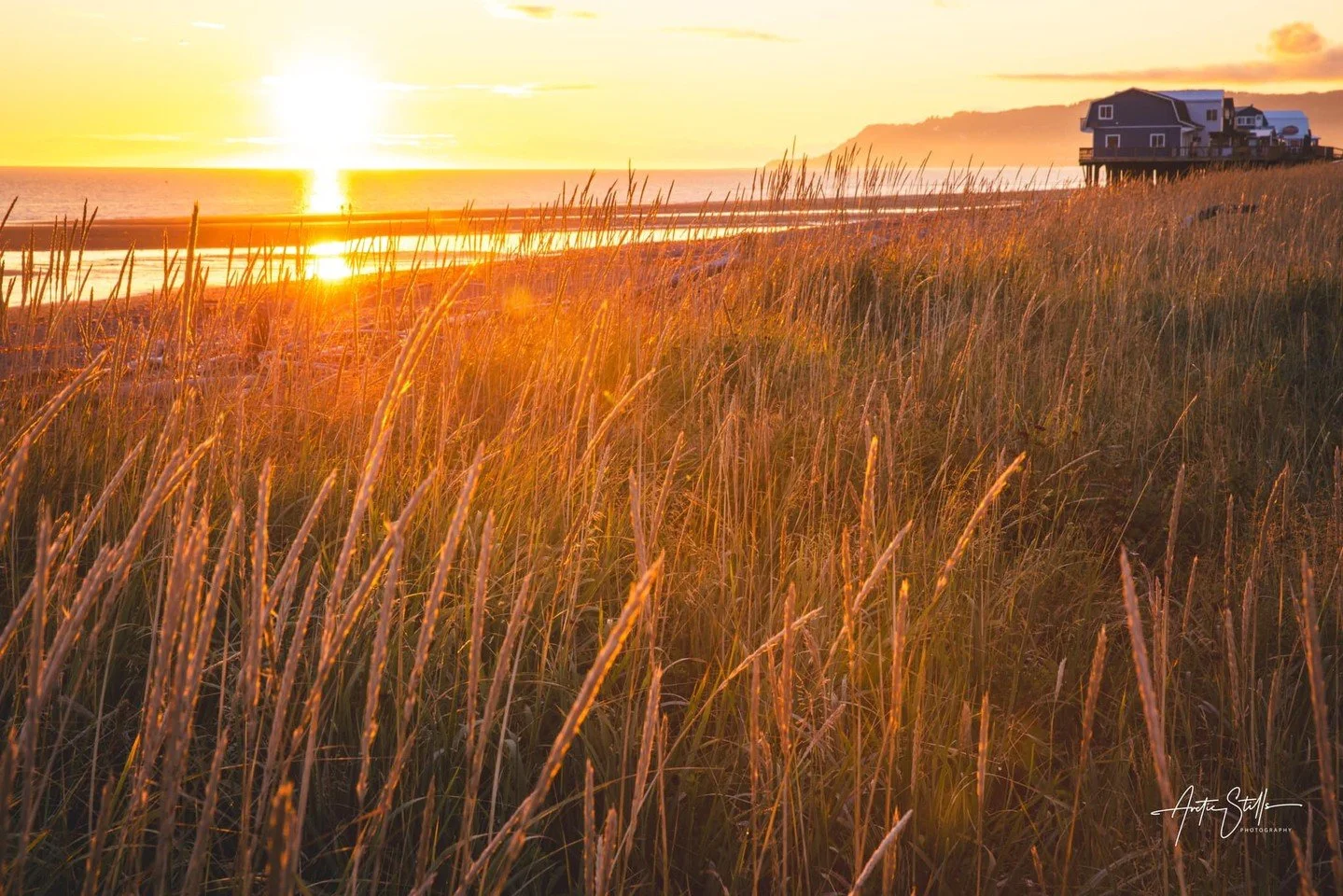 Meet us at The Twisted Goat for pizza + a local beer, then back to the beach for sunset. It&rsquo;s giving fall Friday night in Homer perfection. 🌅🍕🍻

Photo courtesy of Arctic stills Photography. 📷 

#HomerAlaska #FallinAlaska #LakeshoreHomer
