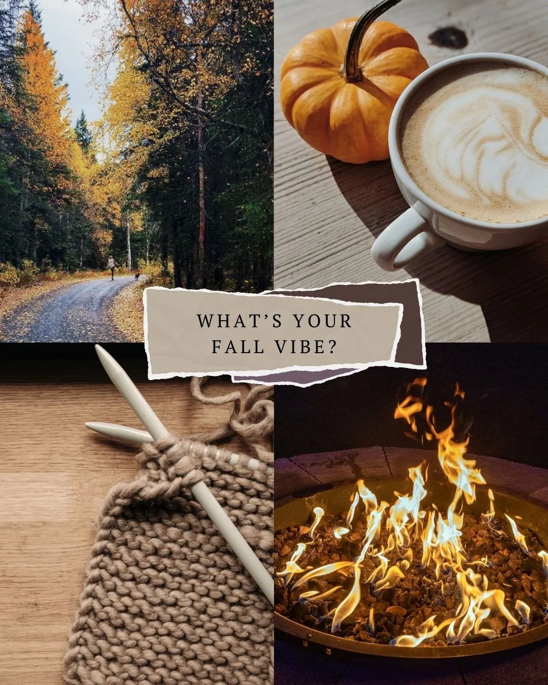 PSA: You can only pick one fall vibe&hellip;
🍂 Pumpkin spice everything
🍁 Long hikes + crunchy leaves
🧶  Knitting cozy scarfs and sweaters
🔥 Firepit season

Drop your vote ⬇️

#LakeshoreHomer #HomerAlaska #Staycation #Autumn