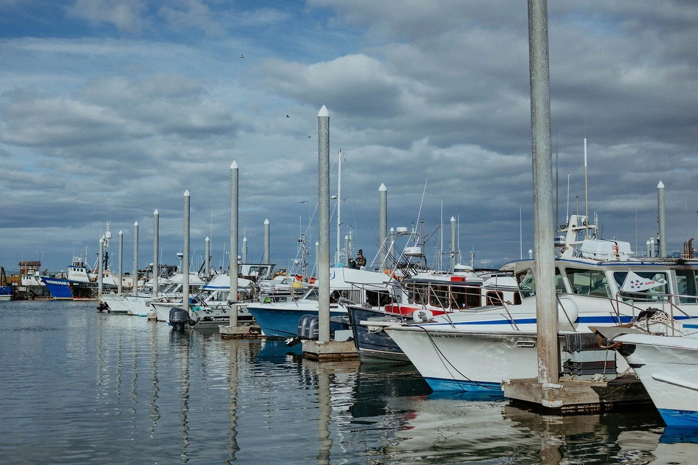 Harbor views &gt; screen views. Every. Single. Time. 💙

#VisitHomer #HomerAlaska #Harbor