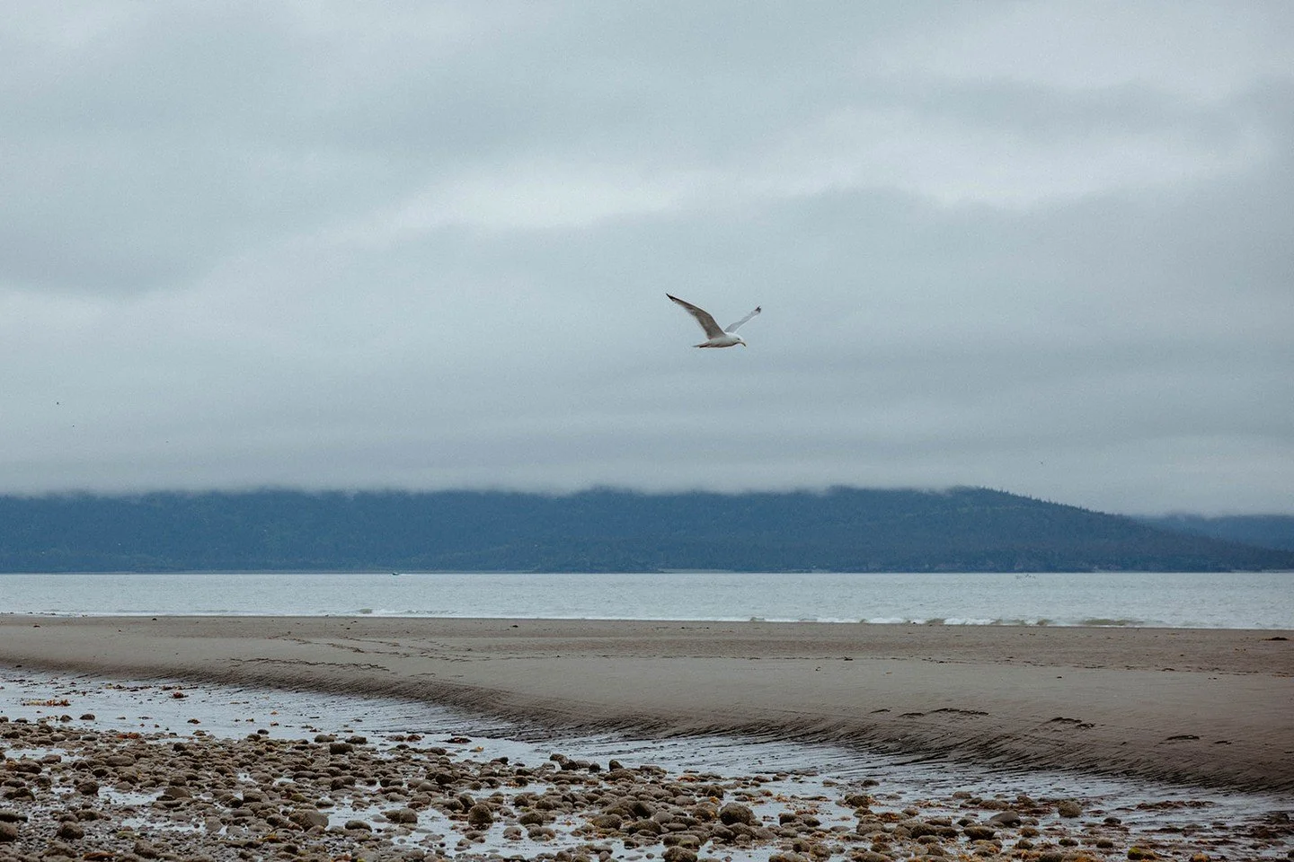 Soft waves, quiet skies, and Homer&rsquo;s stillness &mdash; all just outside your door at Lakeshore Lodging.

#LakeshoreLodging #HomerSpit #VisitAlaska
