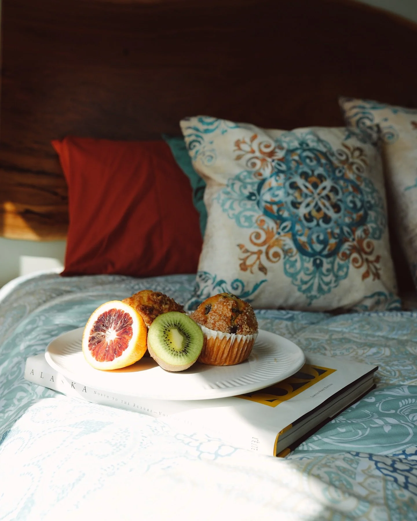 Wrap up in a blanket, sip something hot, and enjoy a slow morning. Cozy days like this are why winter in Homer is magical. Check the link in the bio to book your staycation soon. 

#VisitHomer #Staycation #Alaska