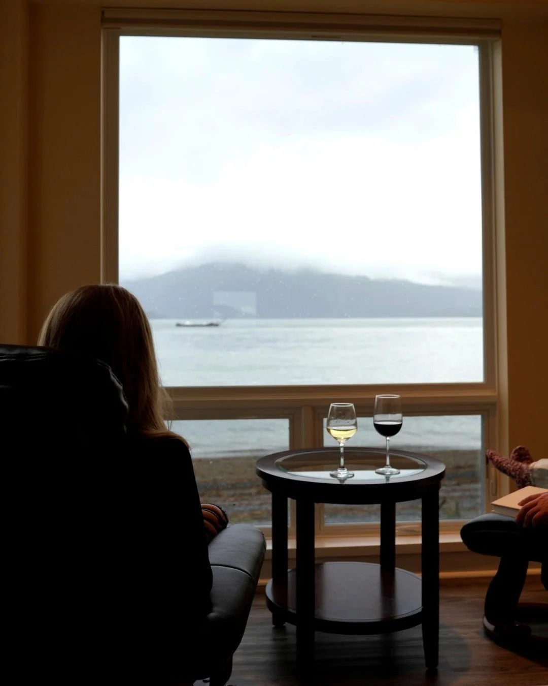 Because sometimes the perfect winter getaway is just sitting by the window, sipping wine, and pretending the rest of the world doesn&rsquo;t exist.

Cozy views + good company = holiday perfection. ✨🍷

#cozyseasonvibes #winterwineviews #lakeshorelodg