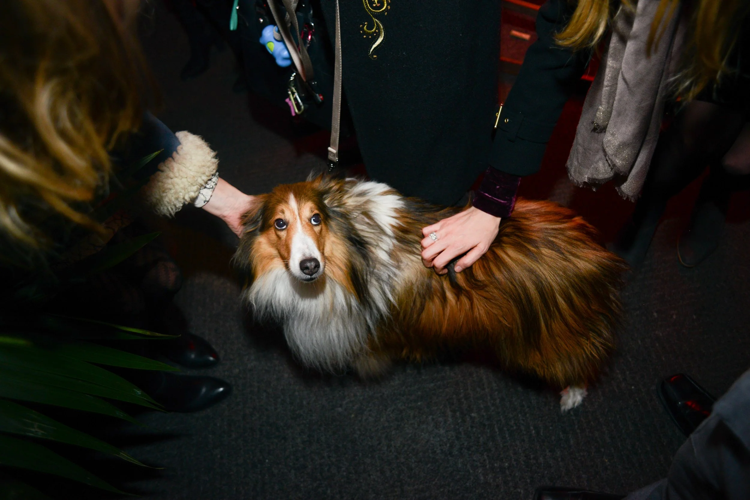 Lonliest Whale-33.jpg