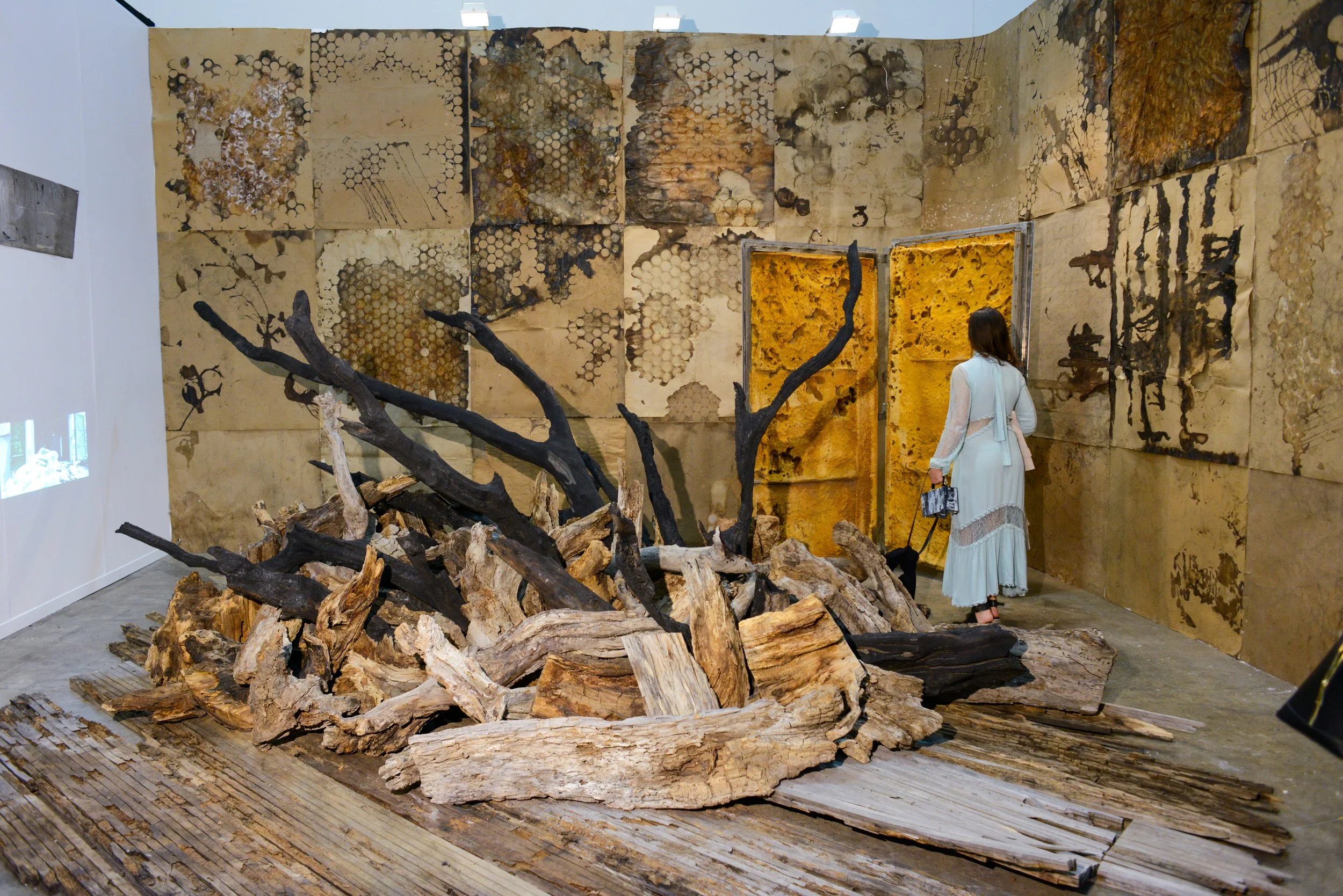 Zona Maco 2018-8.jpg