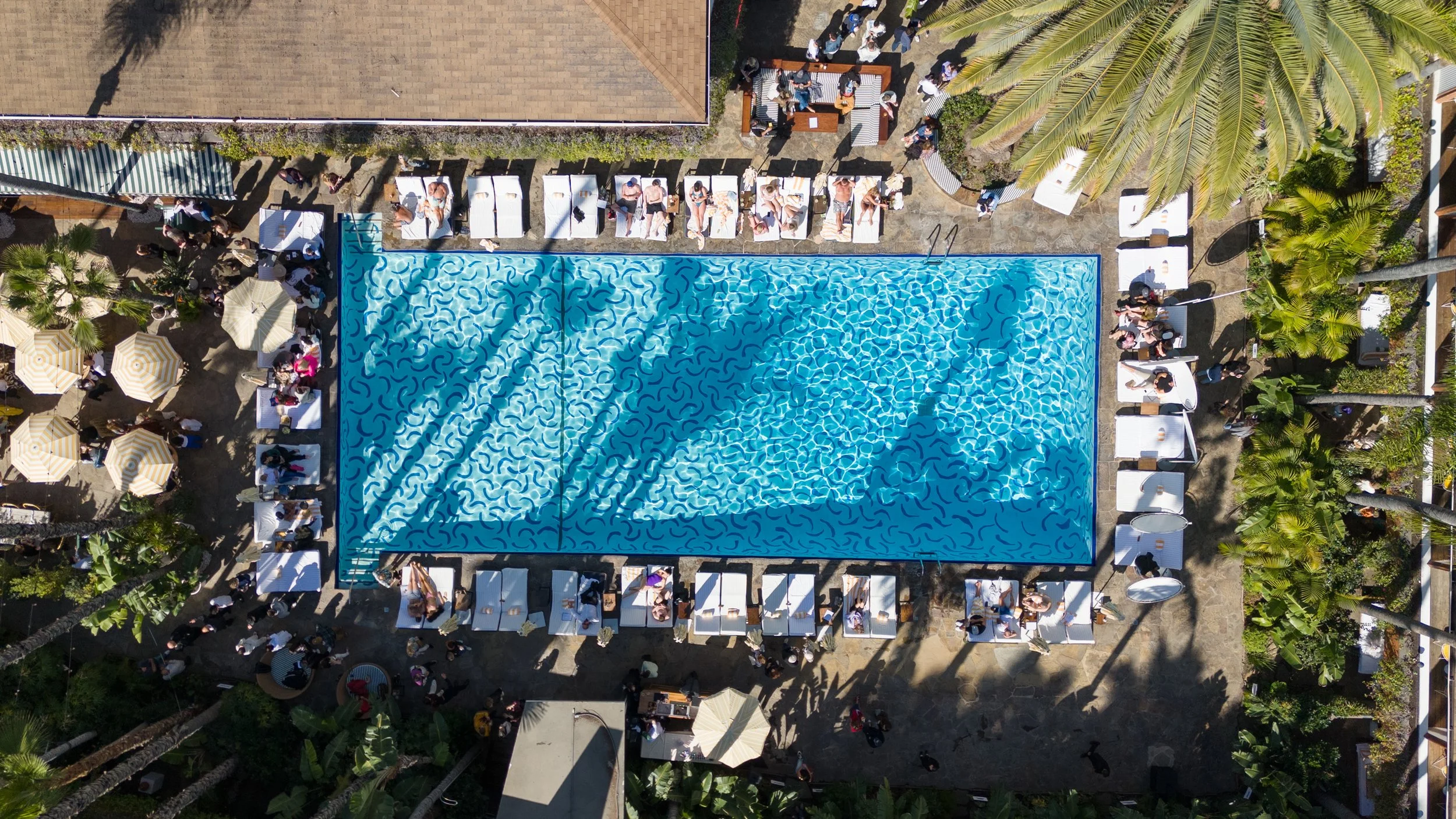 Felix Art Fair 2024.jpg