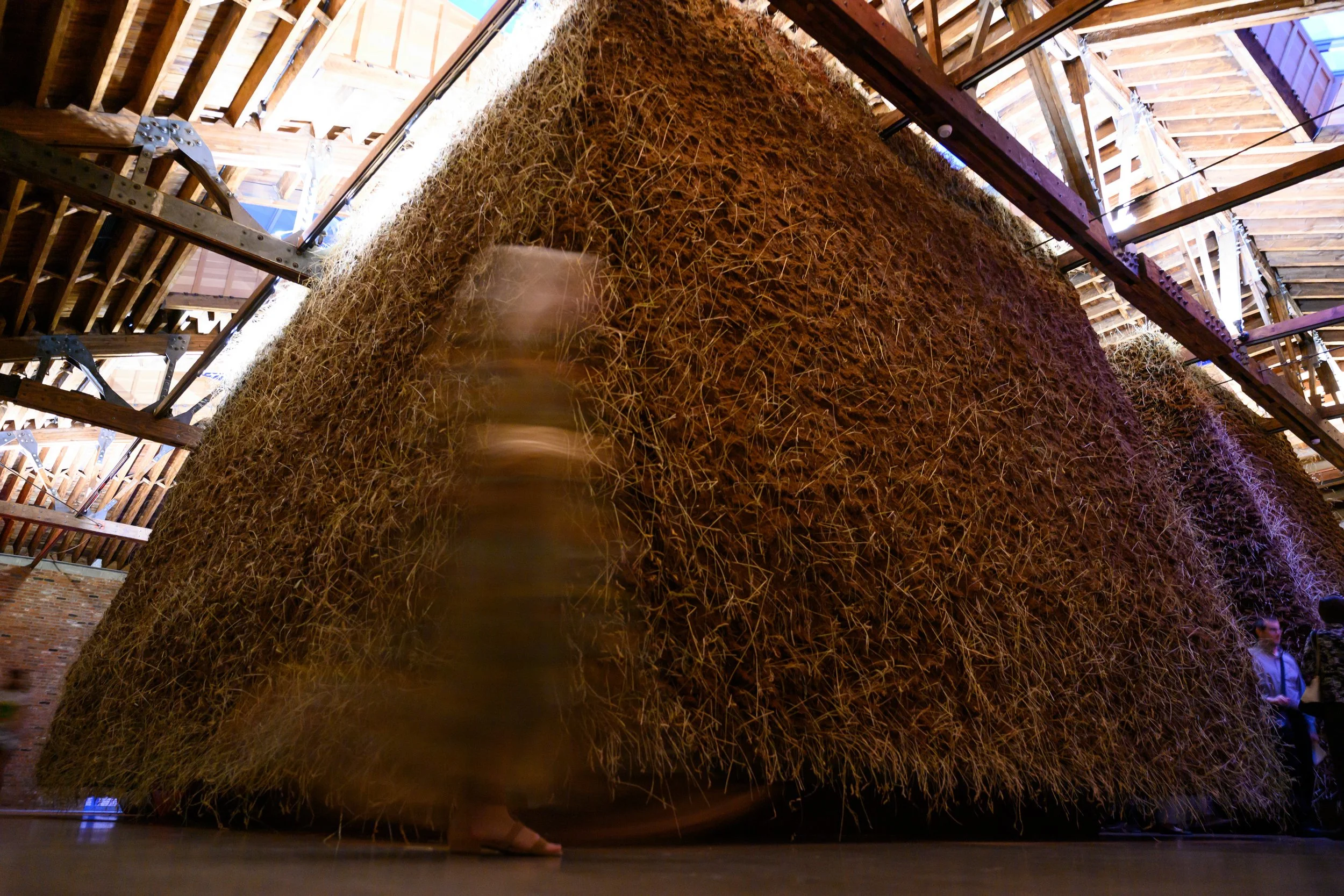 Dia Chelsea-Delcy Morelos-29.jpg