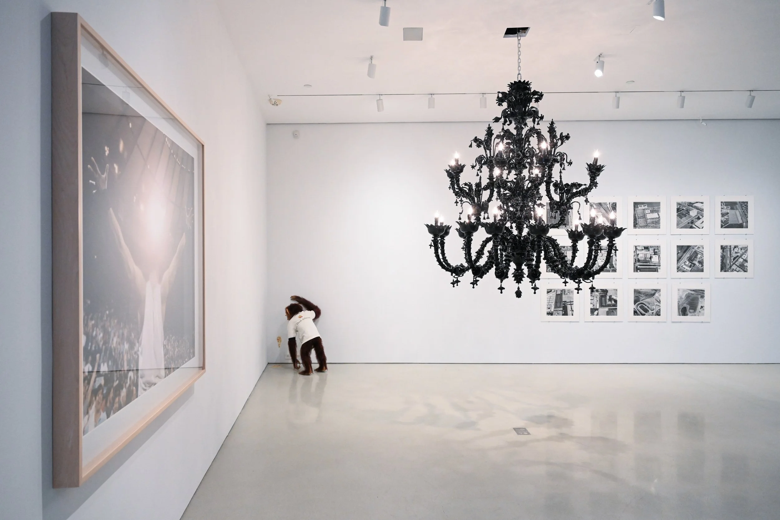 FLAG Art Foundation-Among Friends-5.jpg