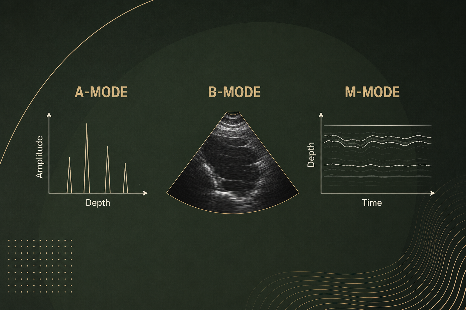 Understanding Grayscale and 2D Imaging Settings on Echo