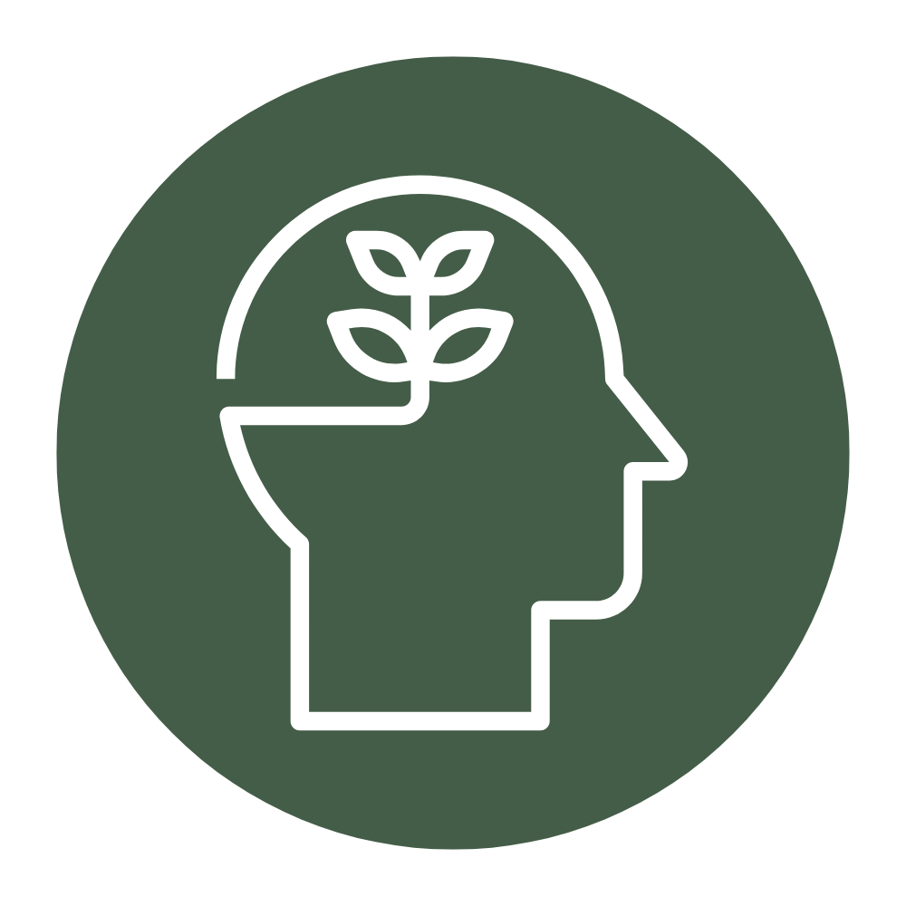 Untitled design (15).png